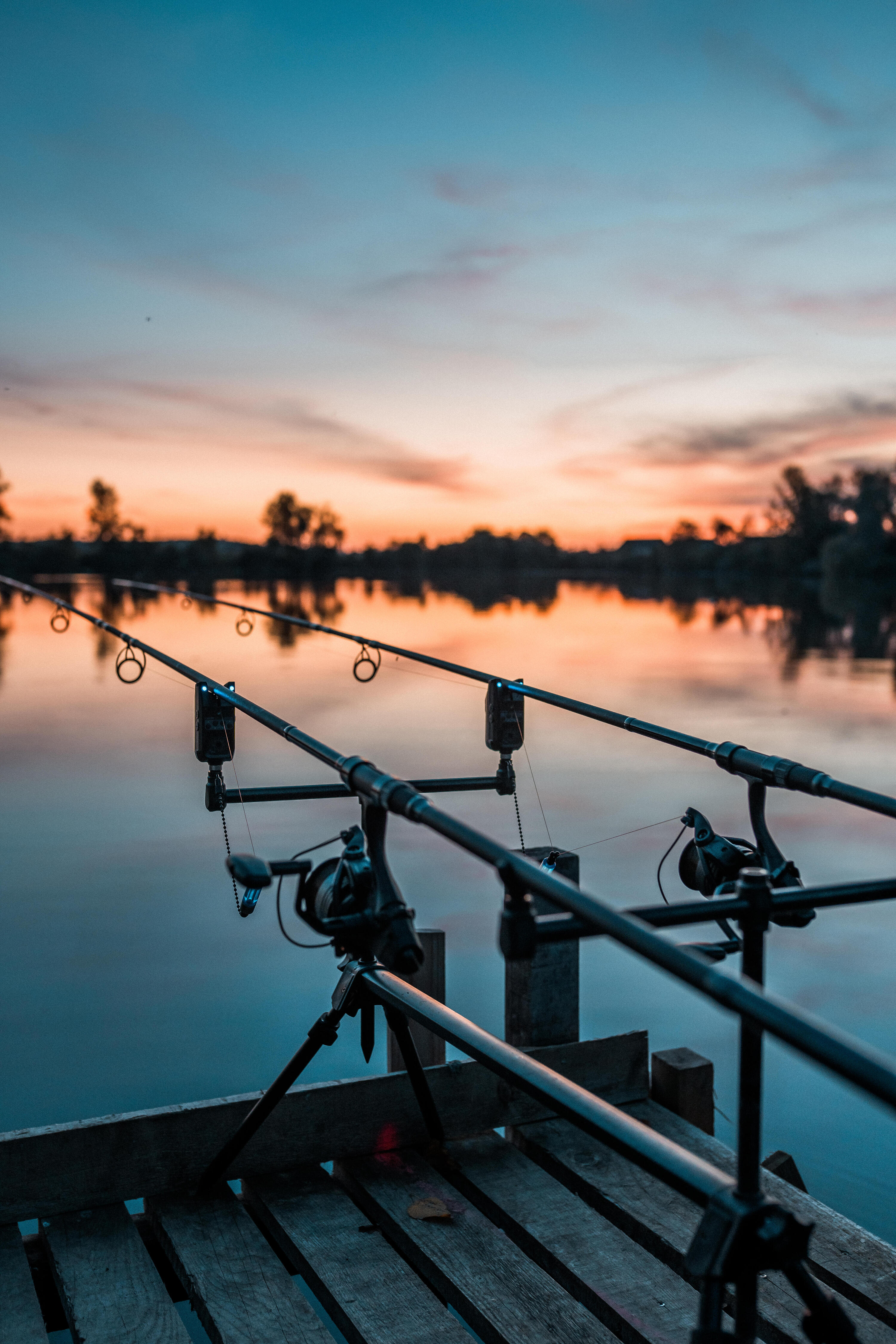 Indicatore di tocche carp fishing XTREM 100 11/17