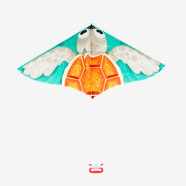Cerf-volant statique Enfant - MFK 100 Tortue