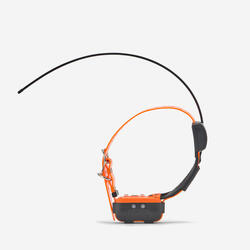Collier supplémentaire repérage & dressage pour chien Canicom GPS2