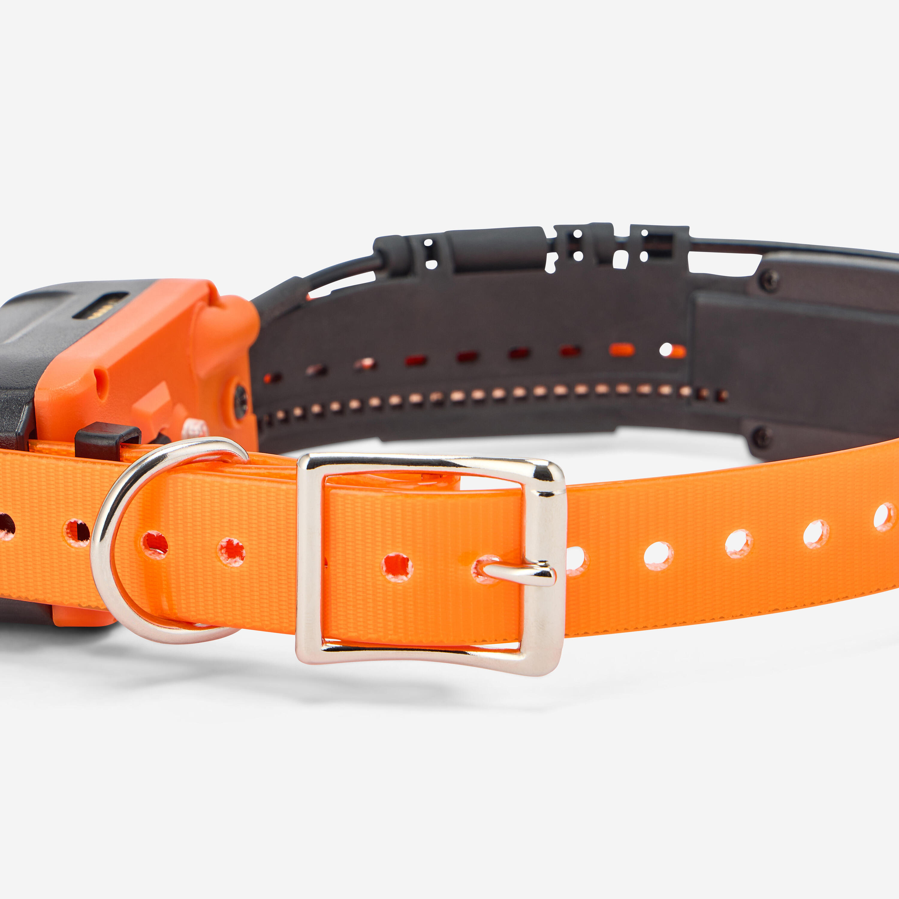 Collier supplémentaire repérage & dressage pour chien Canicom GPS2 2/5