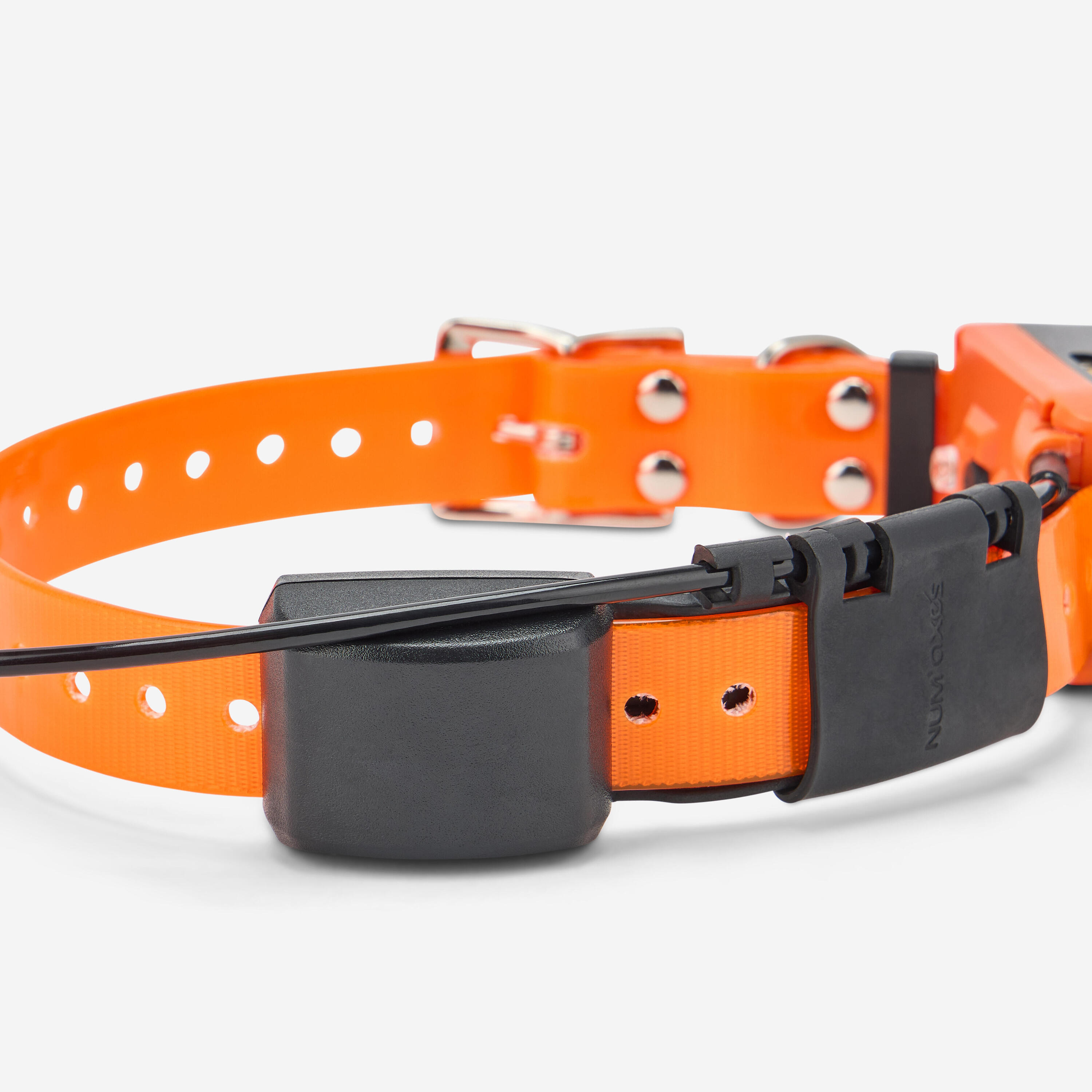 Collier supplémentaire repérage & dressage pour chien Canicom GPS2 4/5
