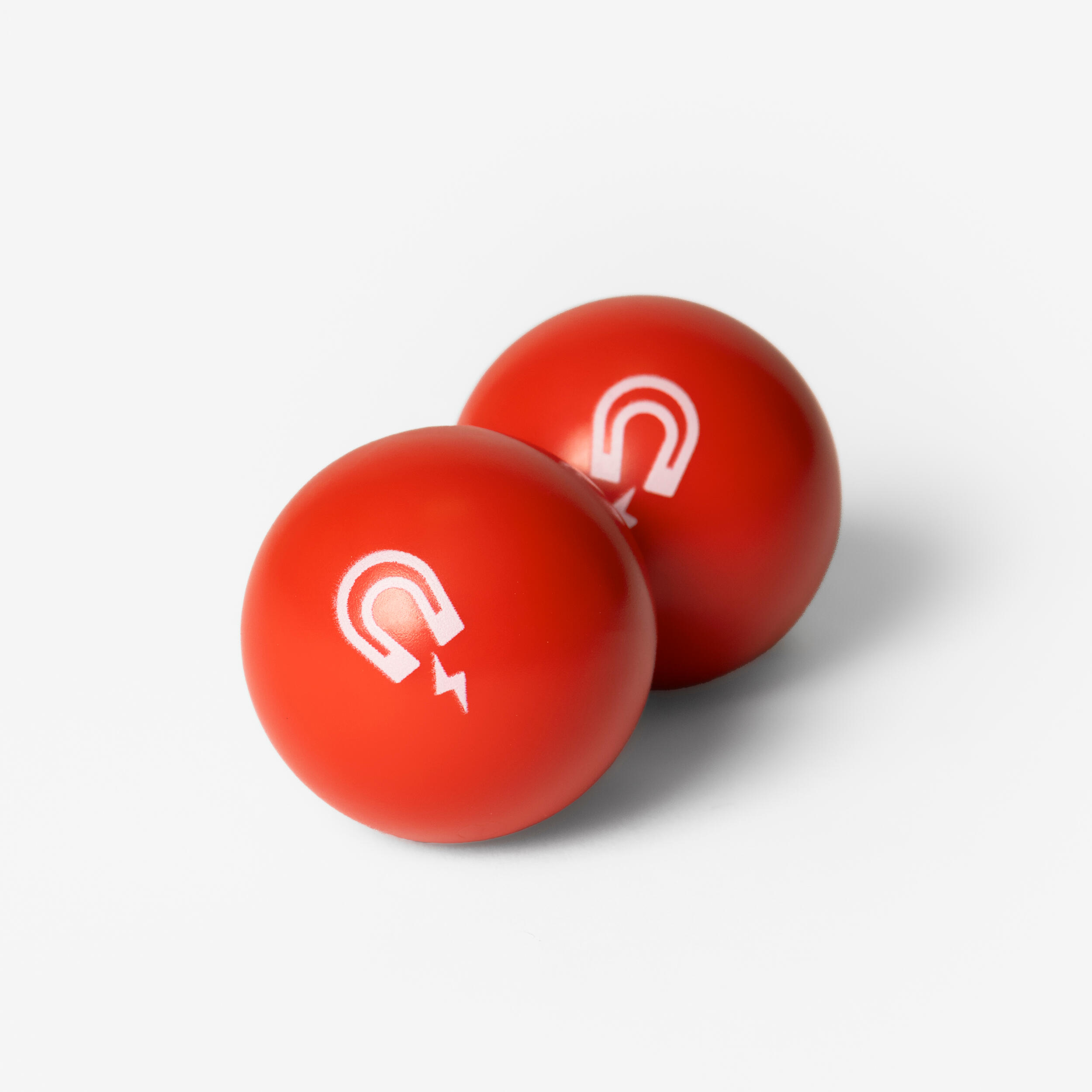 GEOLOGIC 2 MAGNETISCHE BUTS VOOR PETANQUE COMPATIBEL MET BALLENRAPER