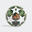 Mini ballon Ligue des Champions League 24/25