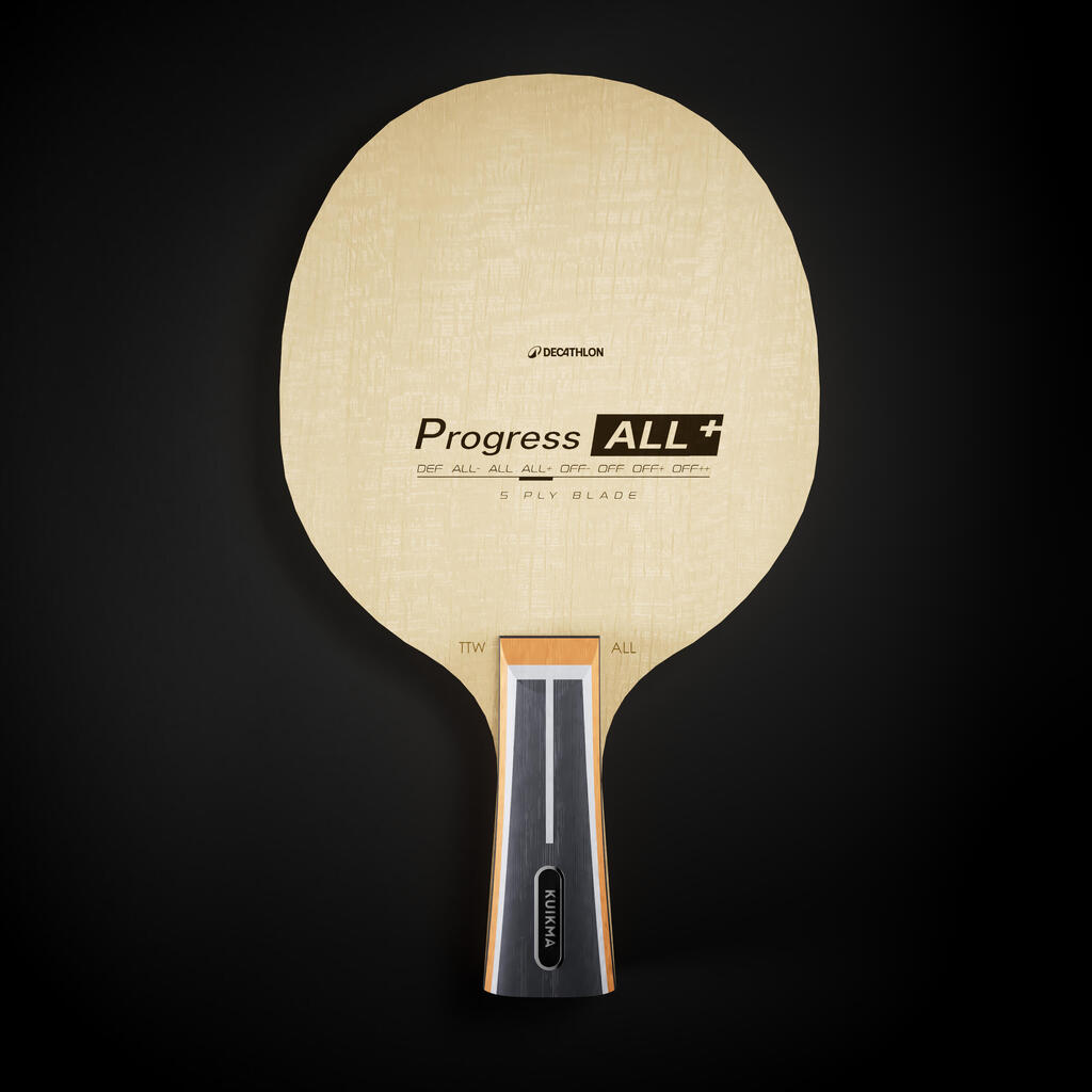 Reket za stoni tenis TTW PROGRESS ALL+
