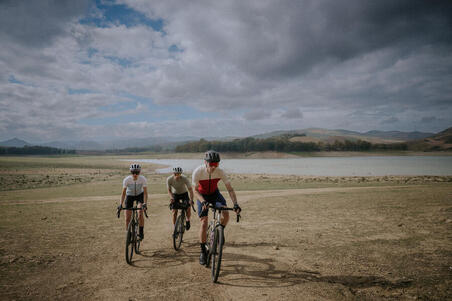 Велосипед гравійний Microshift SWORD 1x10v GRVL AF коричневий