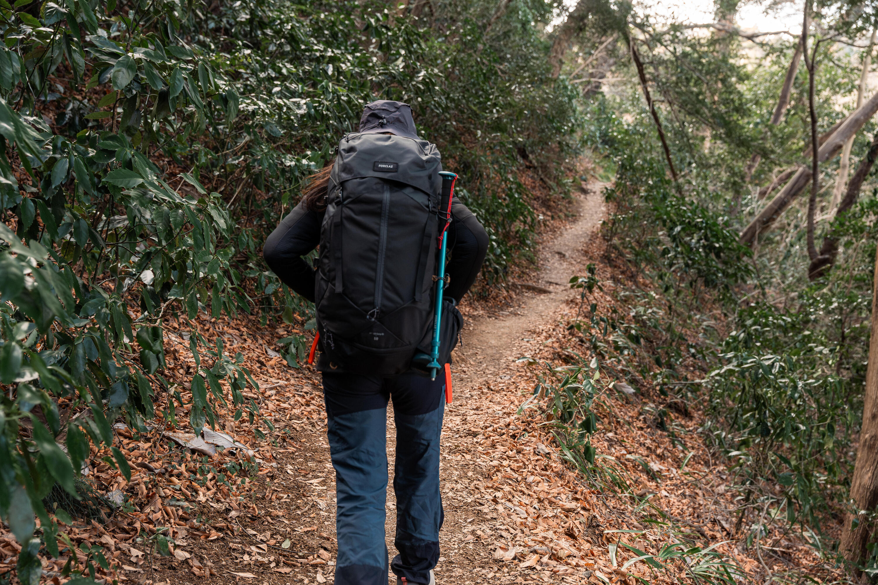 Zaino trekking TREK100 EASYFIT | 50 litri 29/35