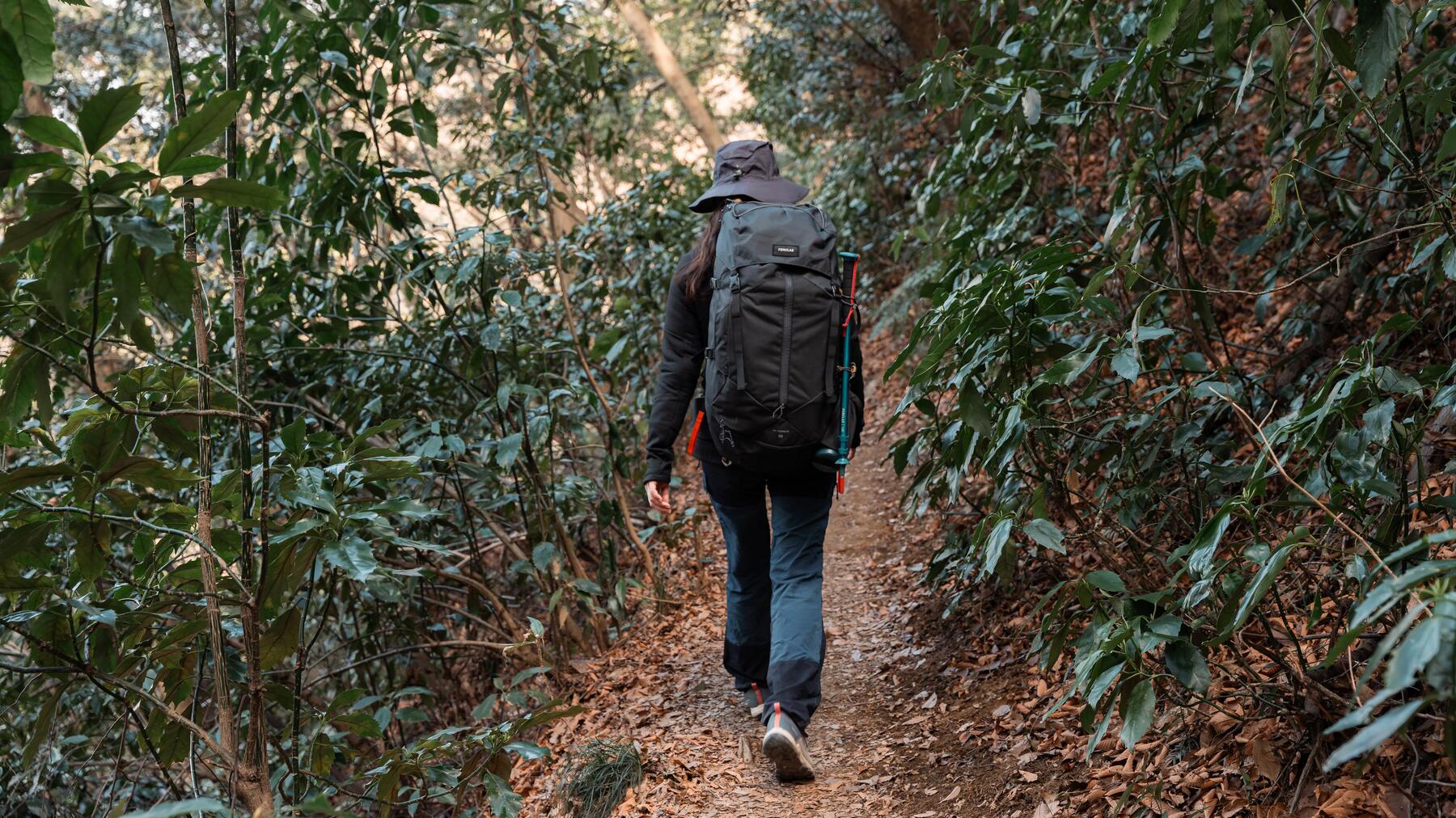 Erfahre hier alles Wissenswerte über das Backpacking für Anfänger!