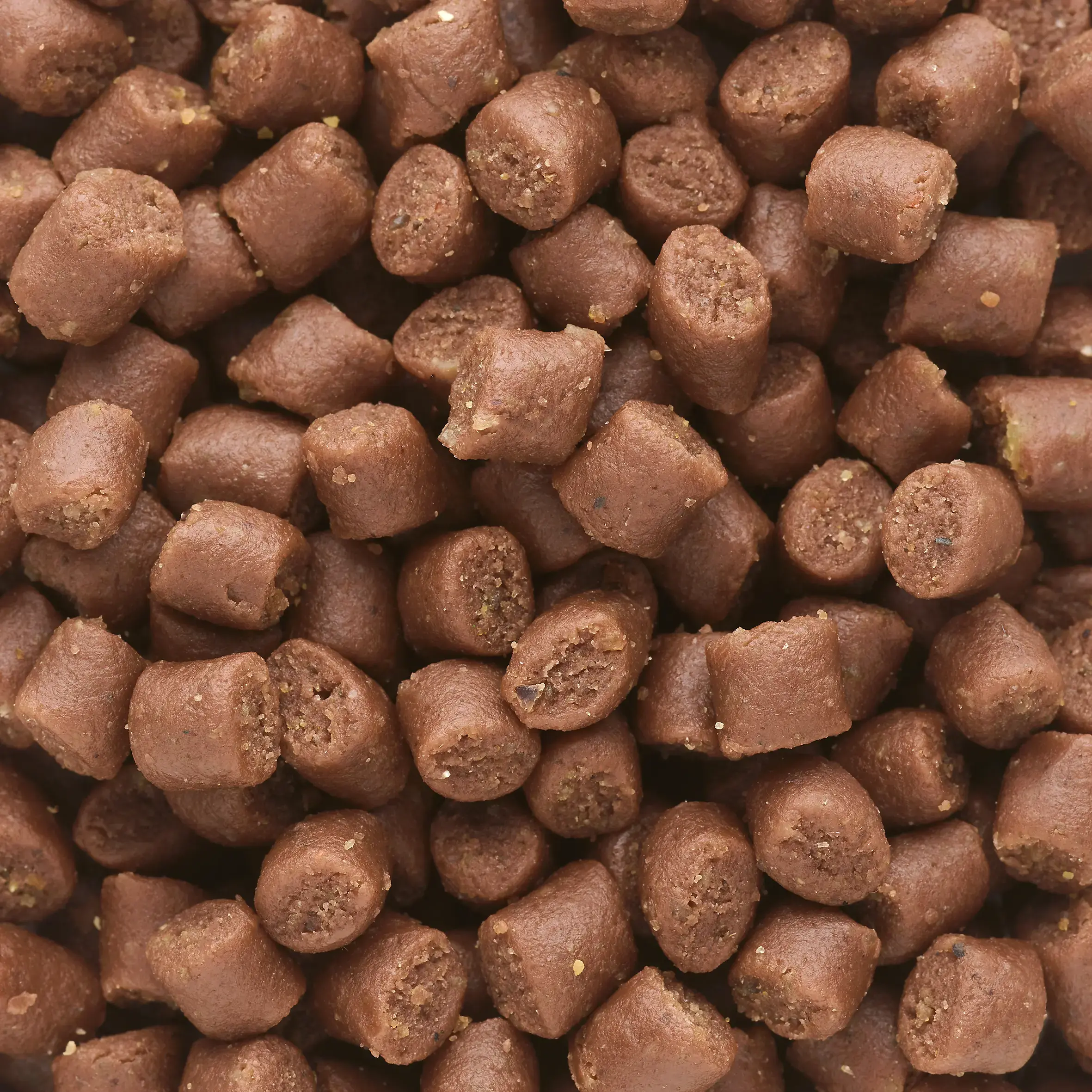 Rodzaje pelletu – wędkarstwo dla początkujących i nie tylko