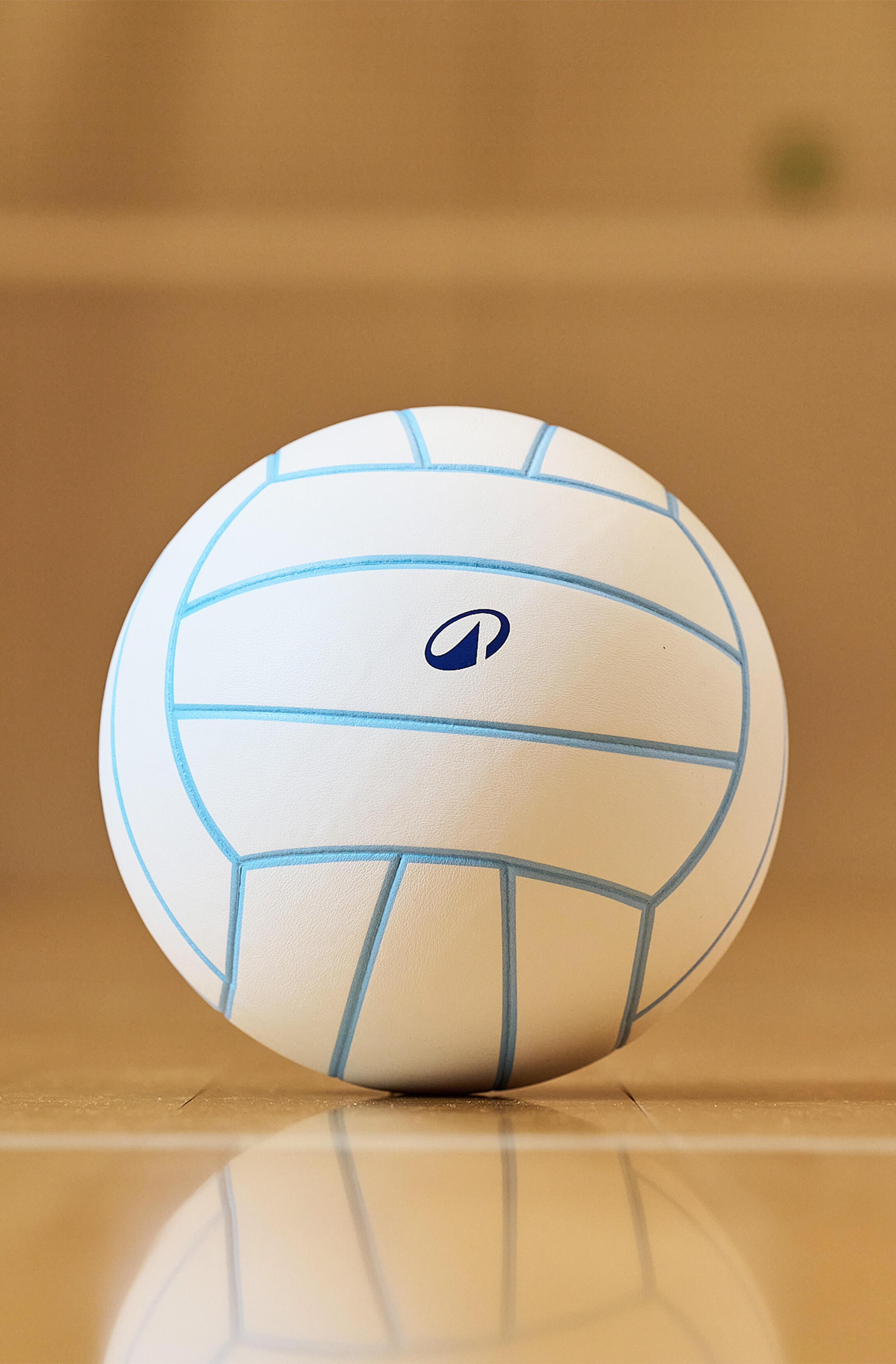 Ballon de volley-ball vintage, VB500 classic 26/41