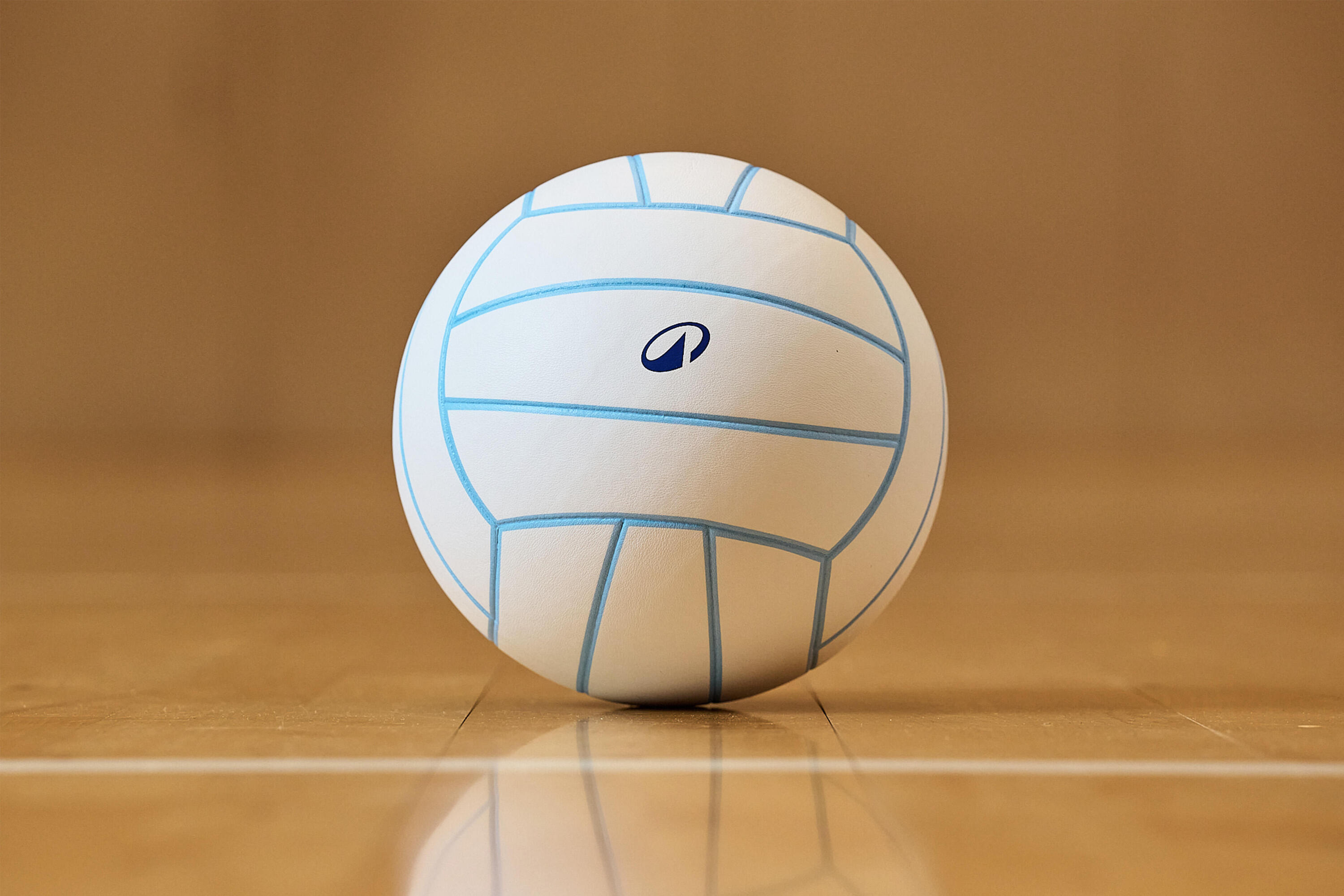 Ballon de volley-ball vintage, VB500 classic 25/41