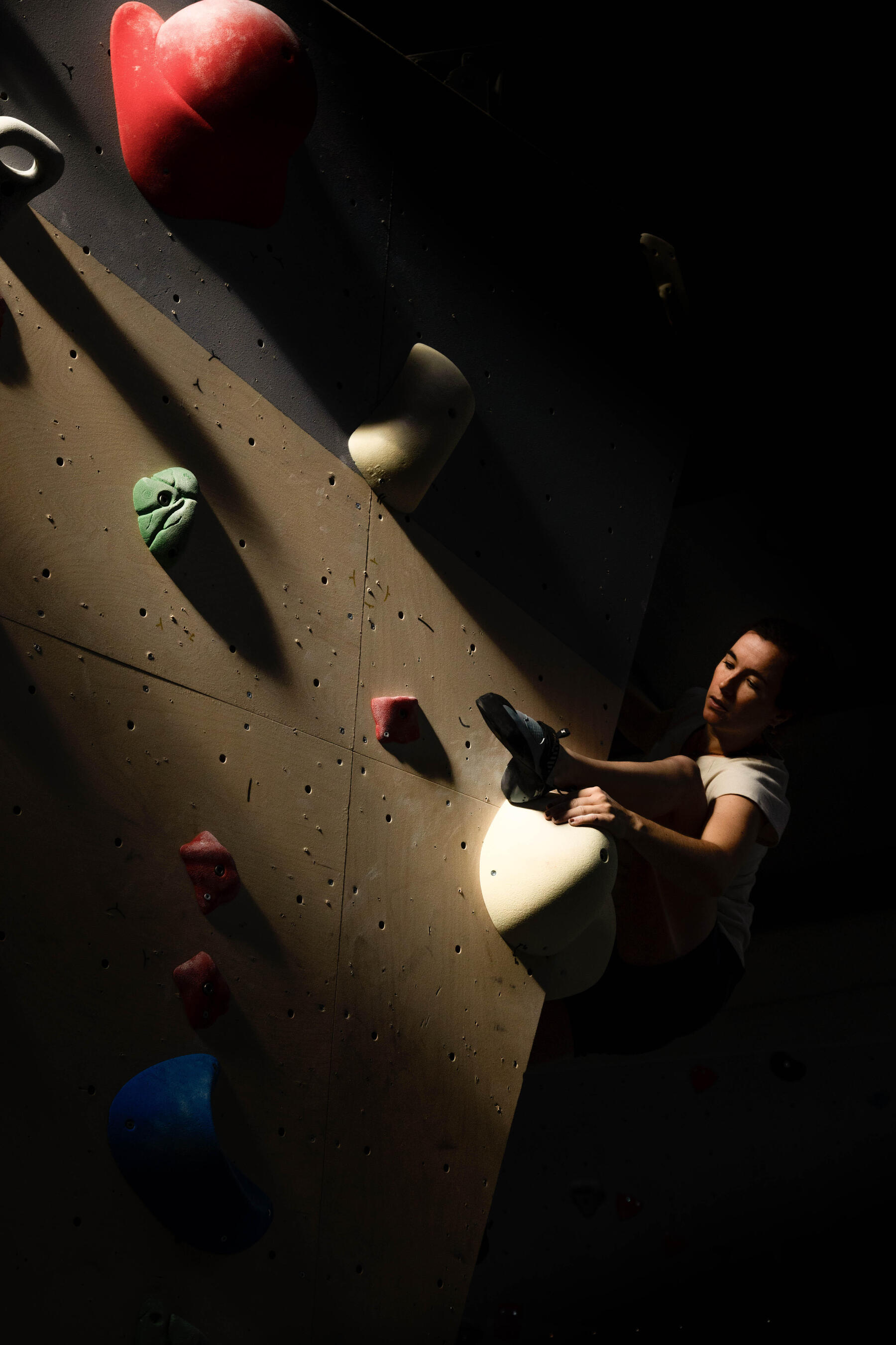 Mit unserer Hilfe eine Kletterwand für dein Zuhause bauen!