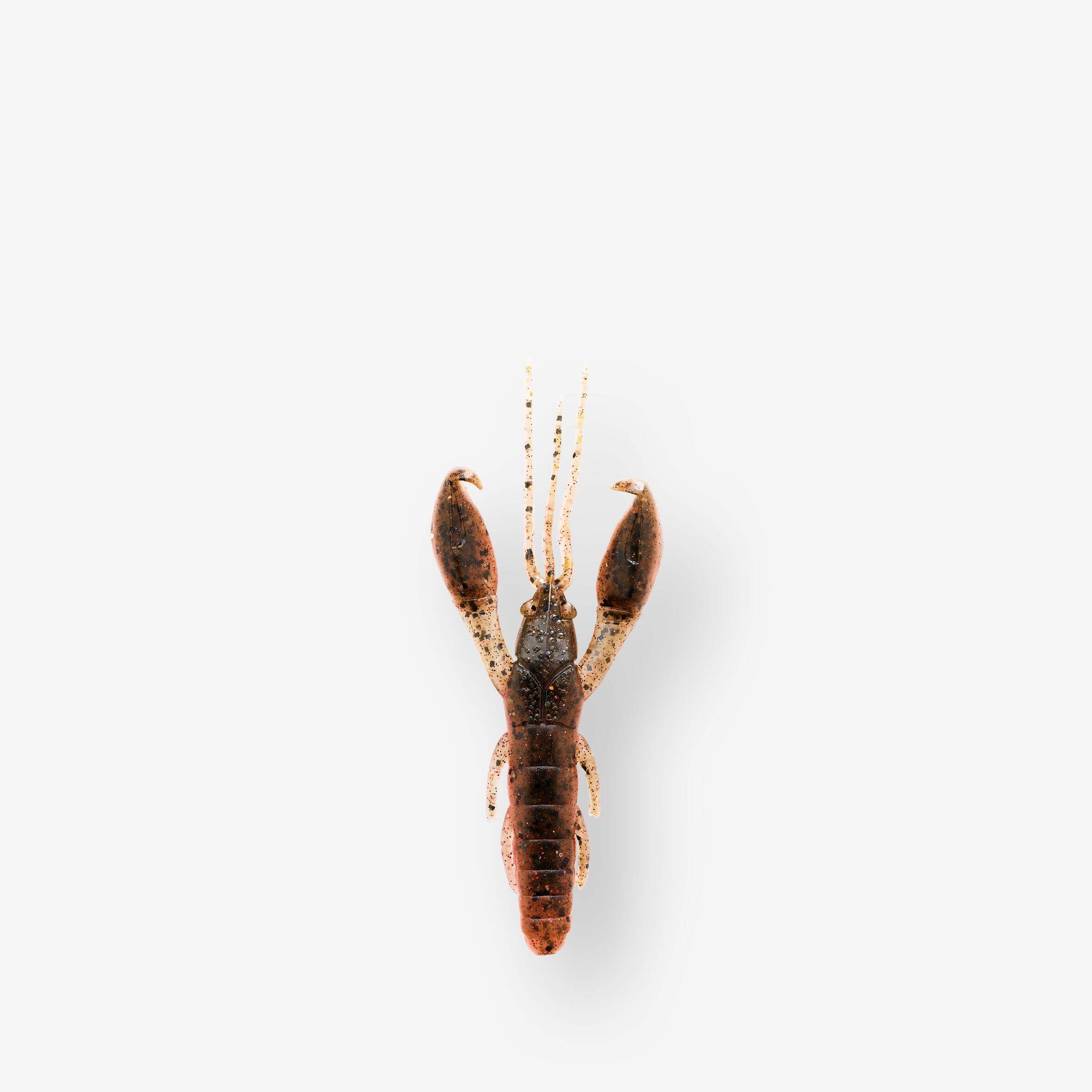 CAPERLAN CRAYFISH SOFT LURE WITH ATTRACTANT WXM YUBARI CRW 2.5" 6.5 cm YOUNGCRAW