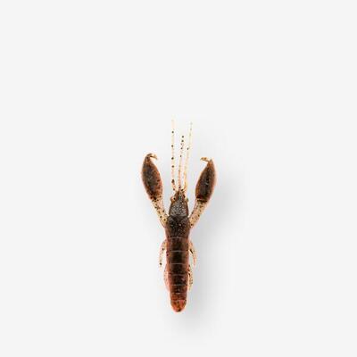 Softbaits rivierkreeft met lokmiddel wxm yubari crw 2.5" 6.5 cm youngcraw