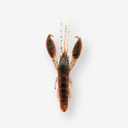 Przynęta miękka nasączona atraktorem Caperlan WXM Yubari CRAW 3,5" 9 cm black