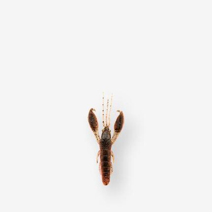 Leurre souple écrevisse avec attractant YUBARI CRW 2" 5cm BISCA CRAW