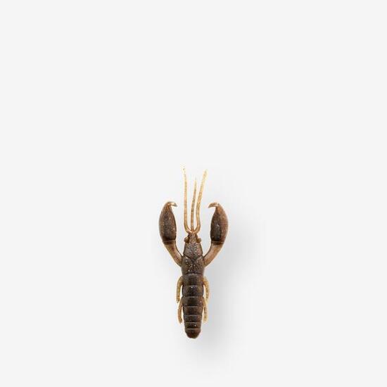 Artificiale morbido gambero con scent YUBARI CRW 2" 5cm bisca craw