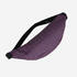 2L BUM BAG TRAVEL