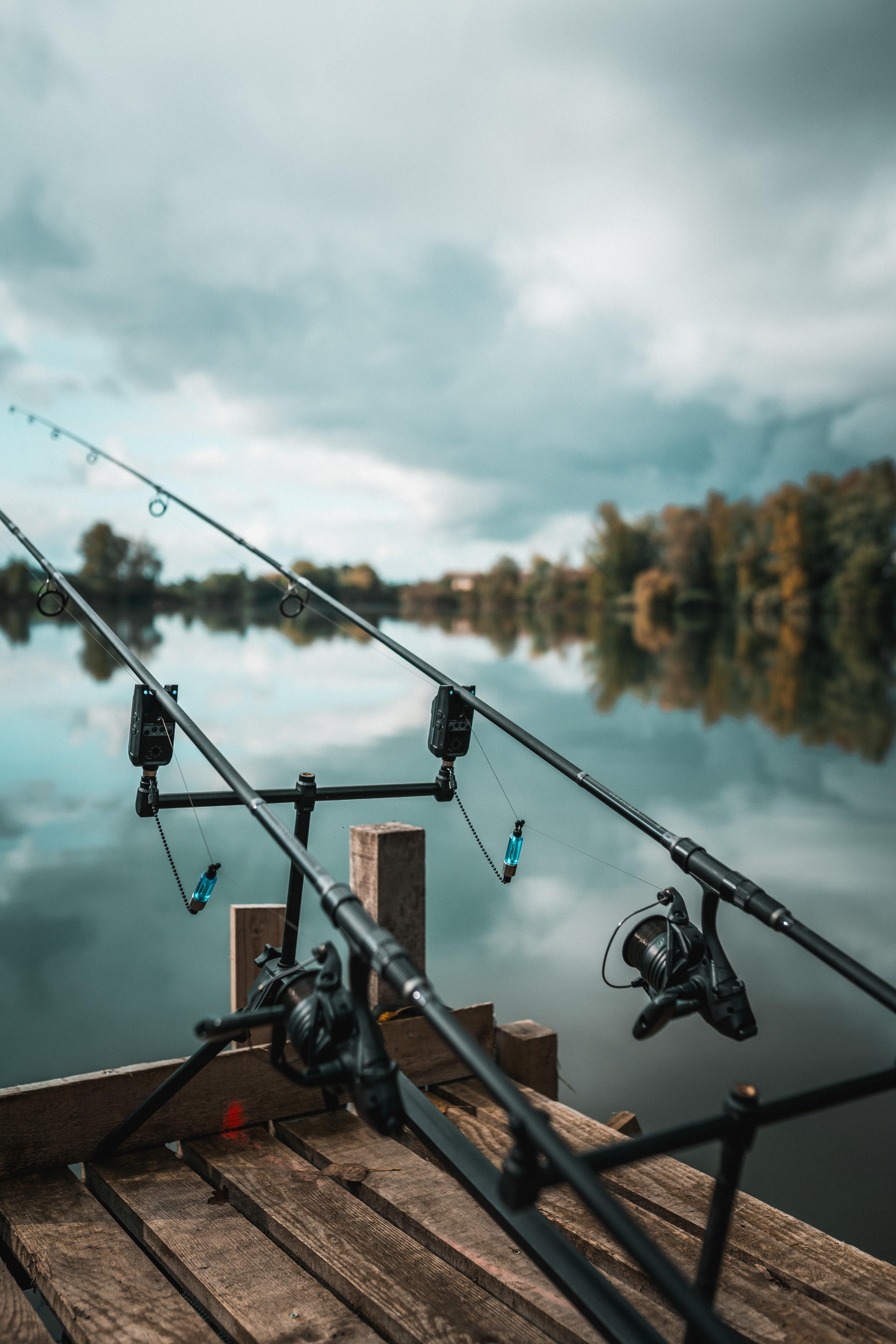 Canne da Pesca