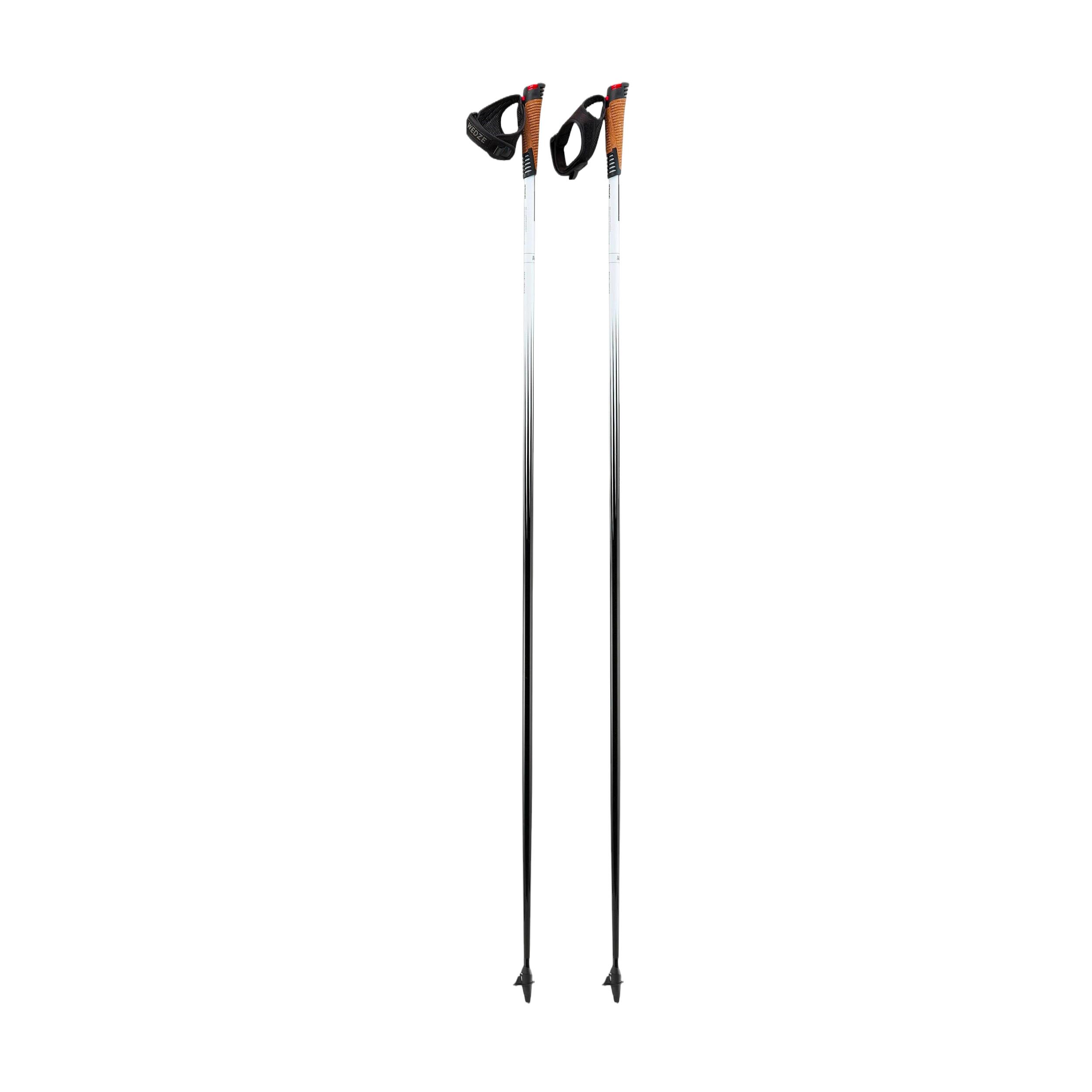Roller ski poles