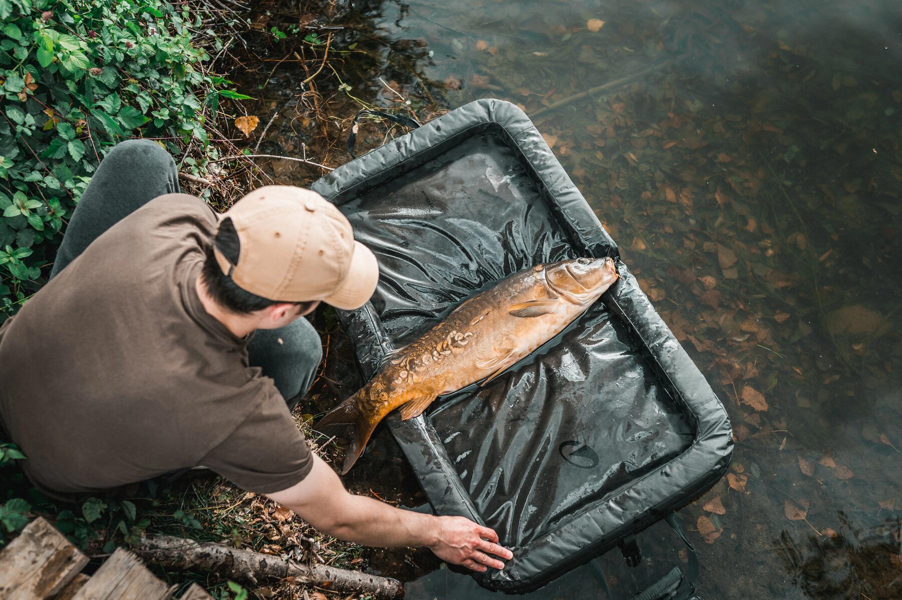 Angler hat Birnenblei zum Karpfenangeln benutzt