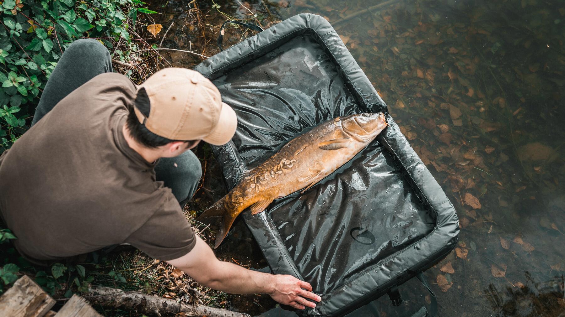 Permis de pêche au Québec : règlementation et tarif