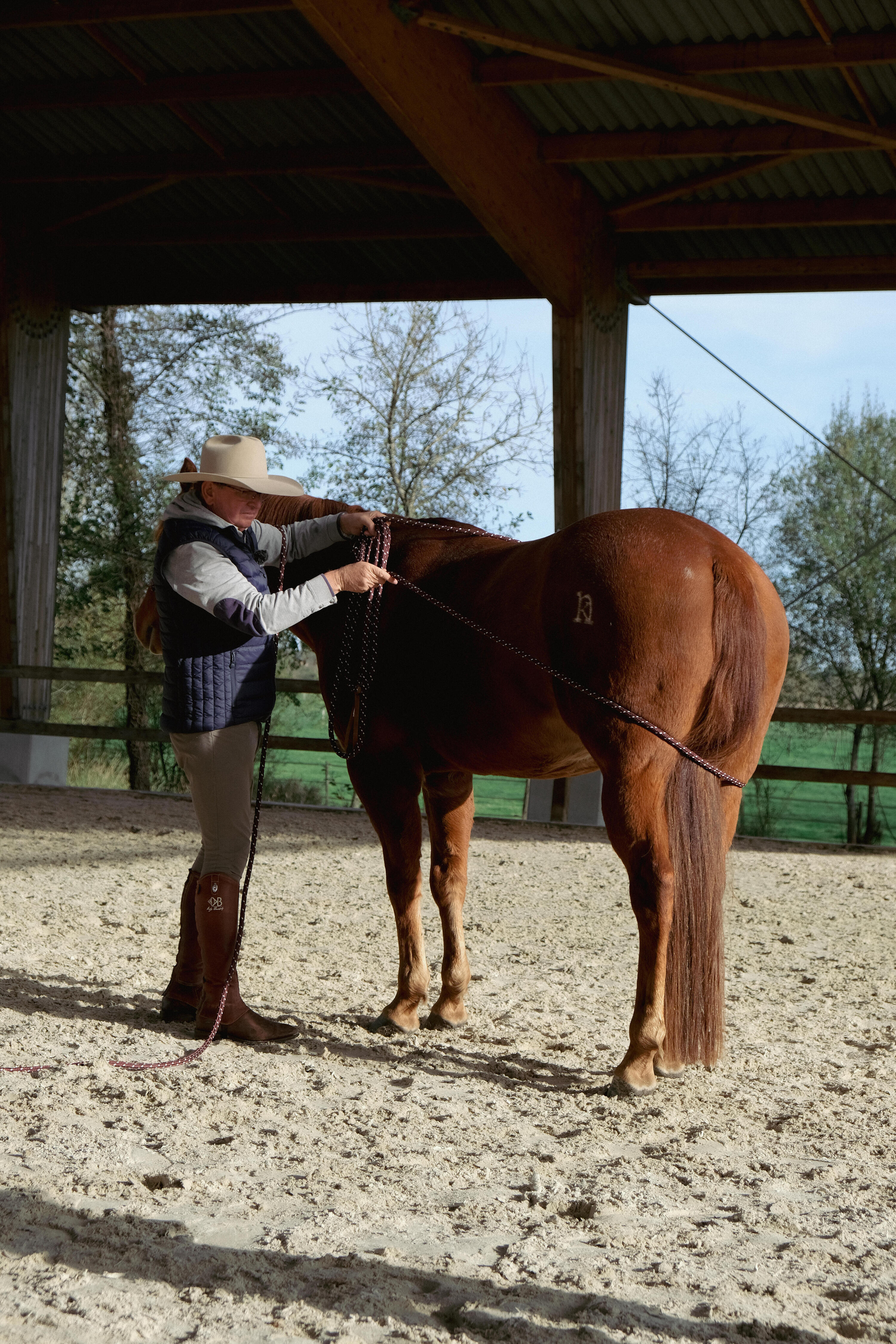 Horsemanship Stick mit Fahne  11/13