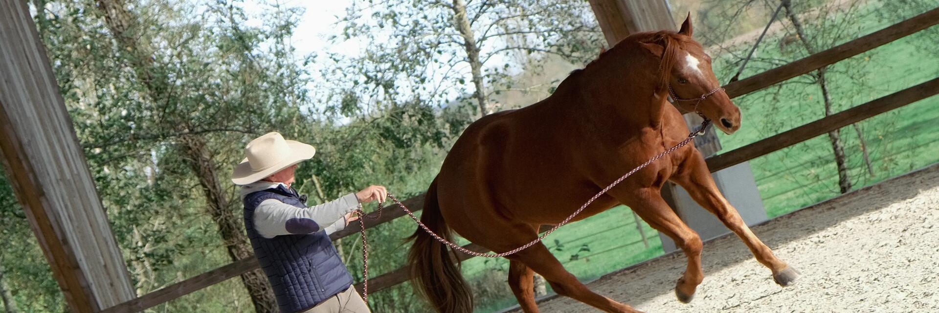 lexique-equitation-decathlon-fouganza