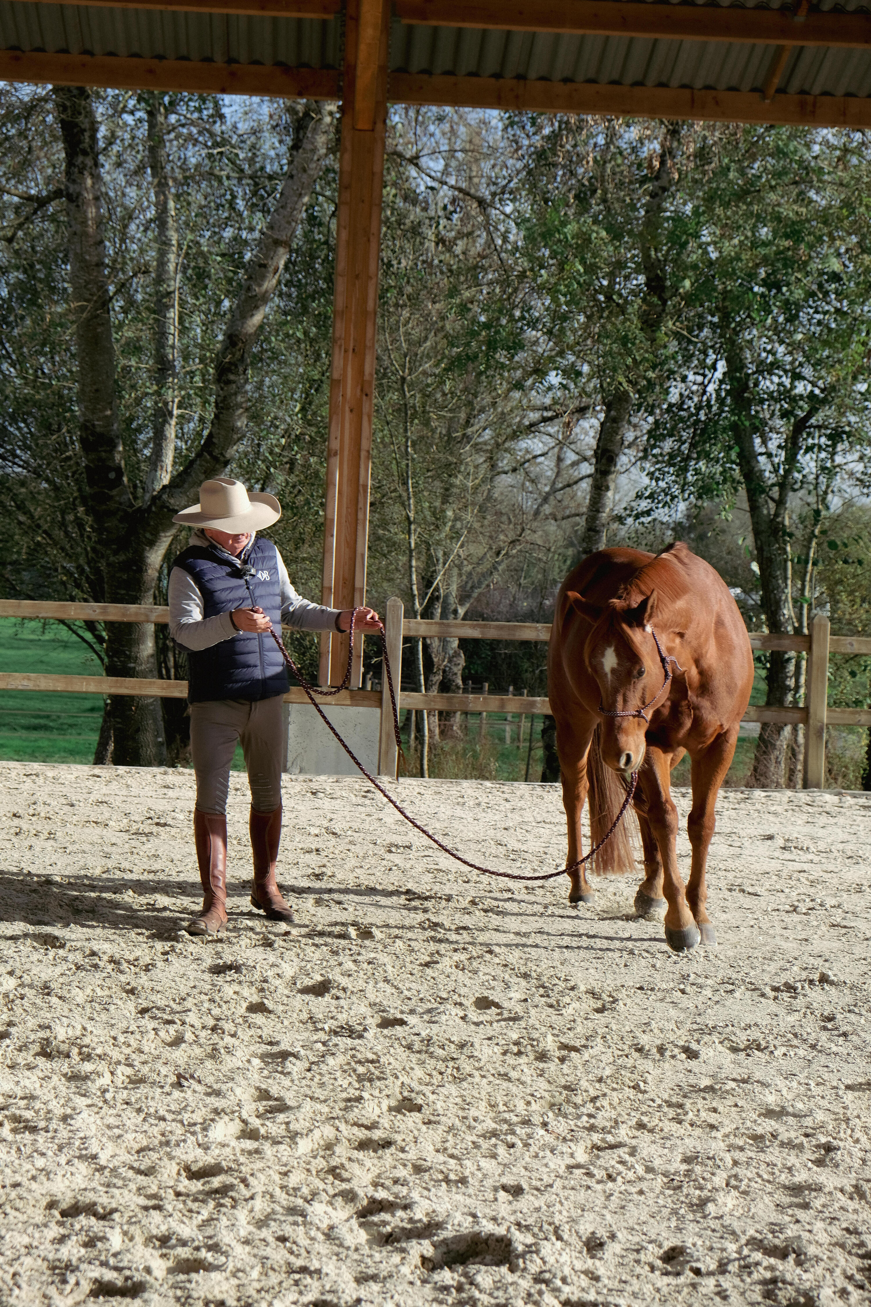 Horsemanship Stick mit Fahne  2/13