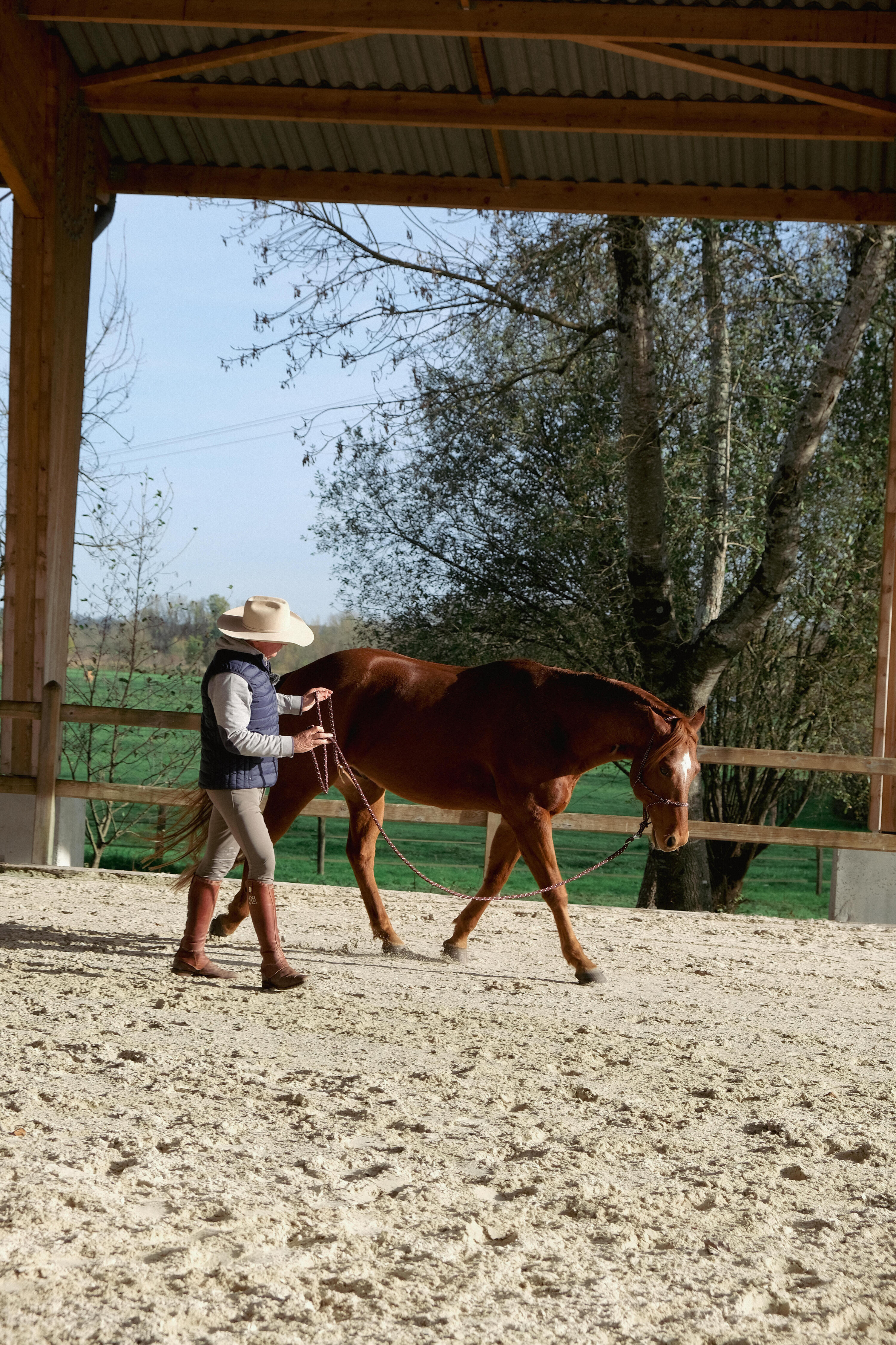 Ethologisches Halfter für Pferde und Ponys – weinrot 7/8