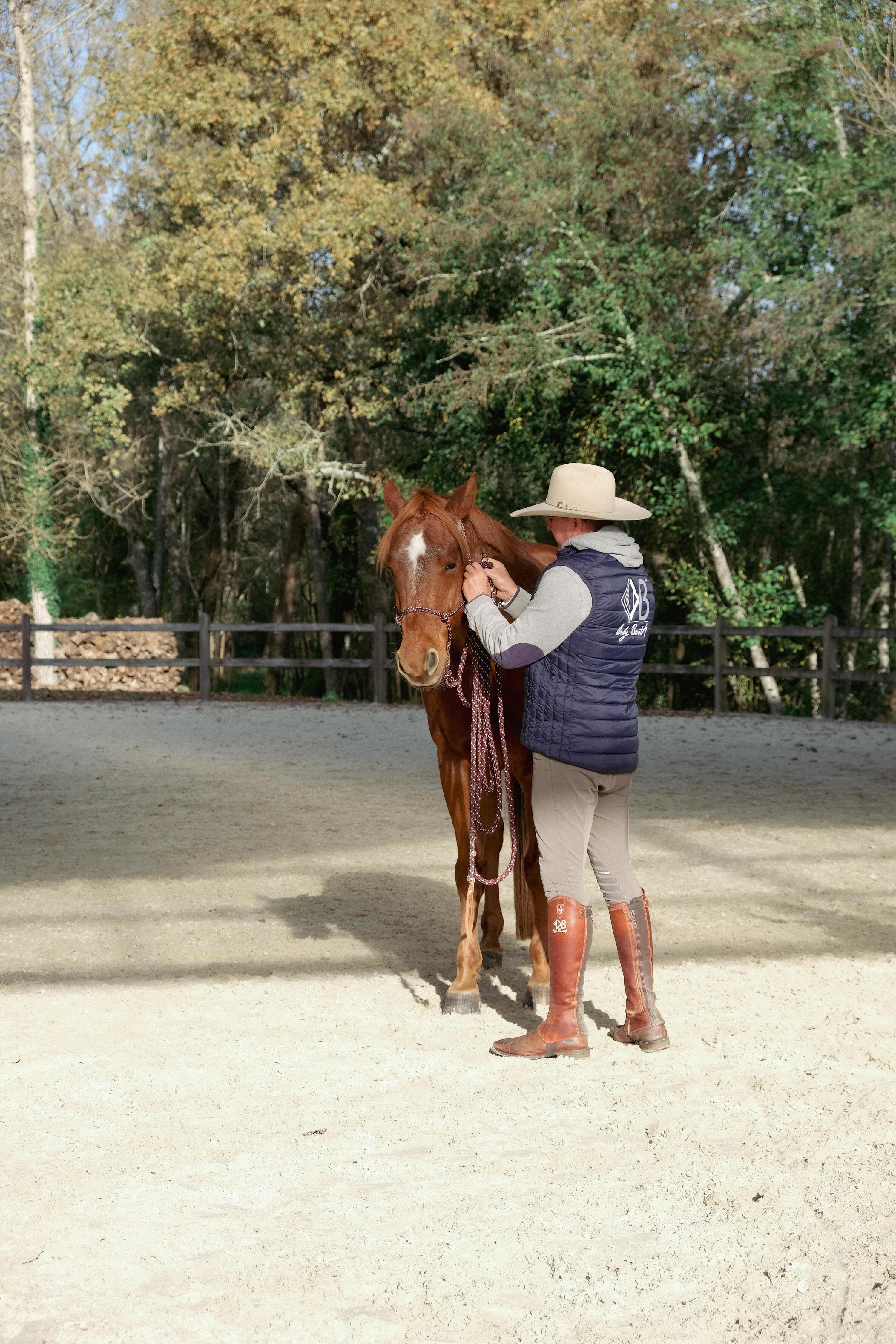 Ethologisches Halfter für Pferde und Ponys – weinrot 2/8