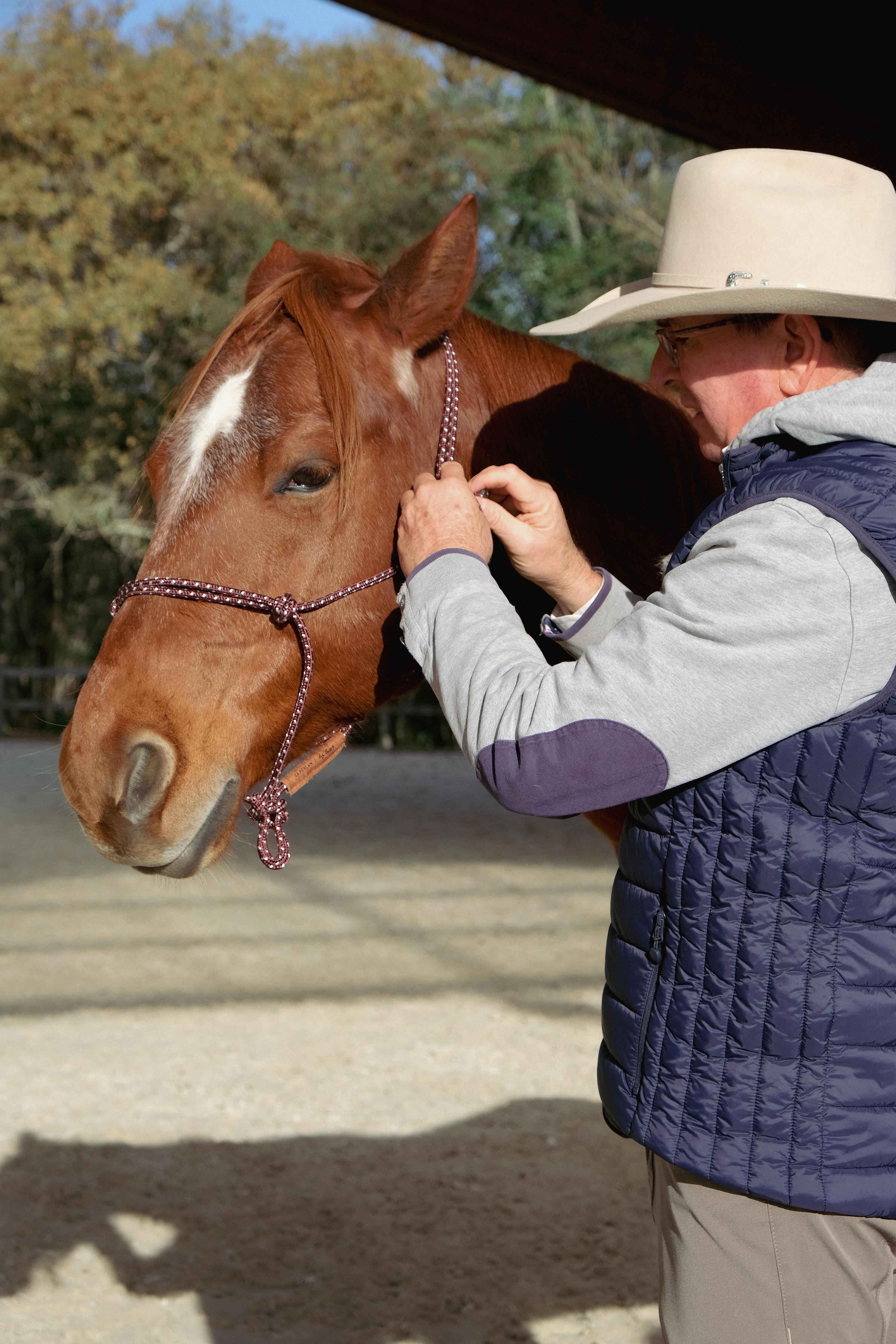 Ethologische longeerlijn van 3,70 m voor paard en pony bordeaux 9/10