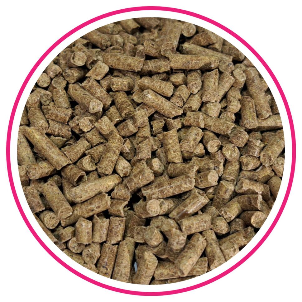 Witaminy i minerały Biofeed 900 g