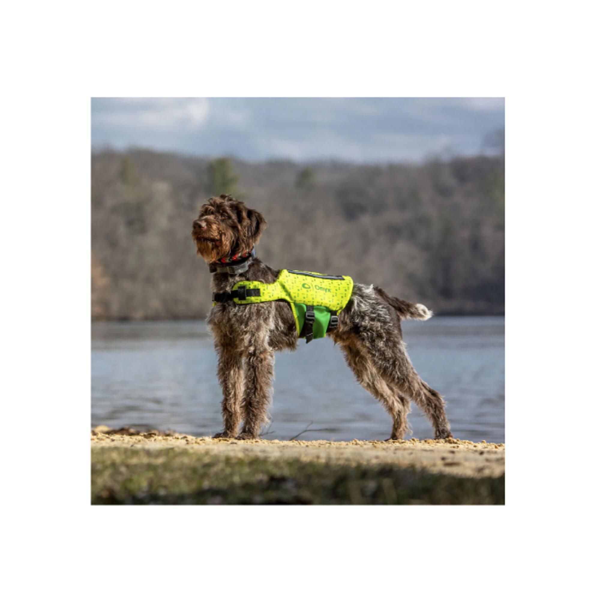 Gilet de sauvetage en néoprène pour animaux - ONYX