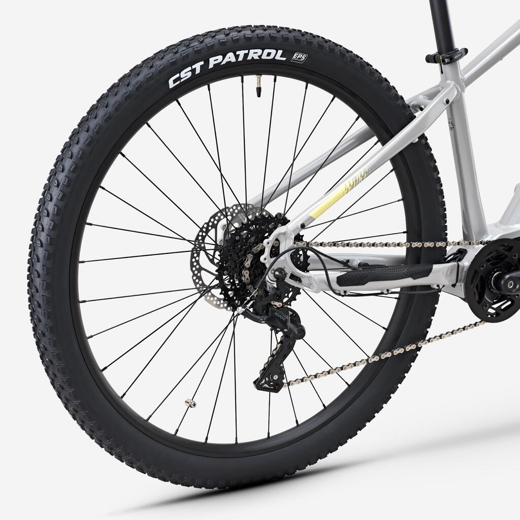 STILUS Off Road semi-rigid electric mountain bike, Light grey
