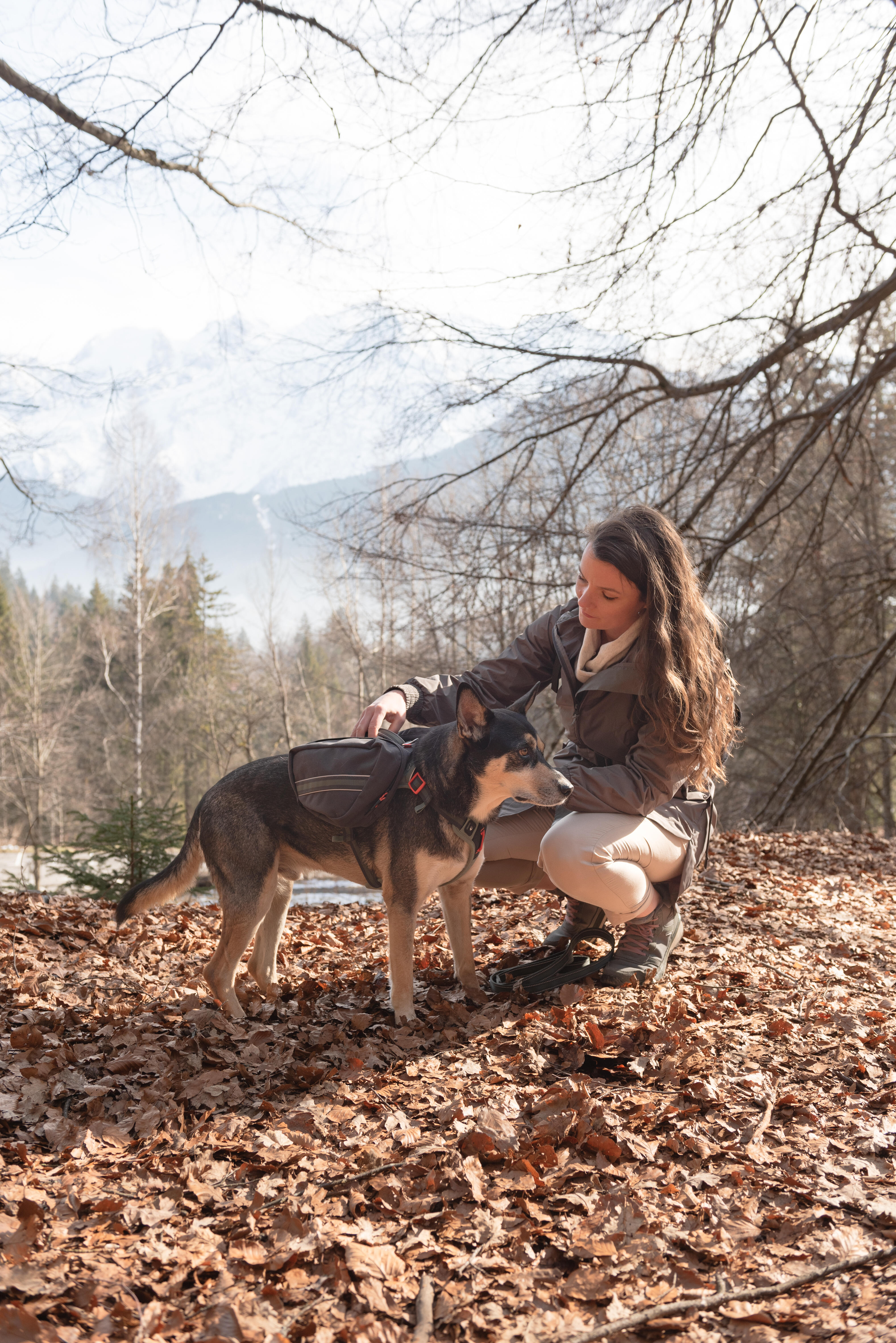 Harnais de randonnée pour chien - CAPERLAN