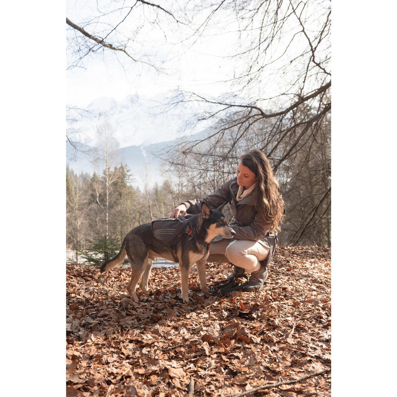 Harnais de randonnée pour chien