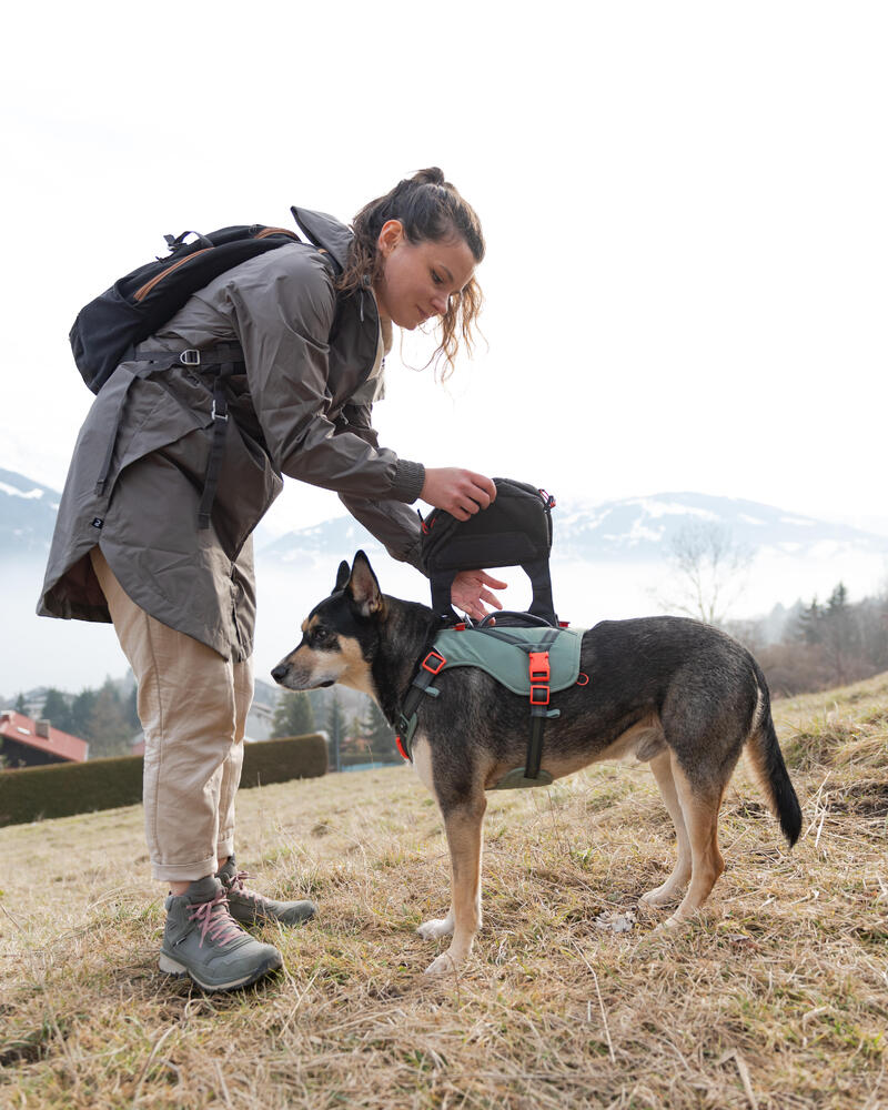 Trail Läufer läuft einen steinigen Berg mit seinem Hund hinauf