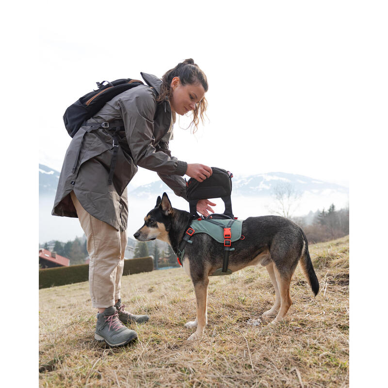 Harnais de randonnée pour chien