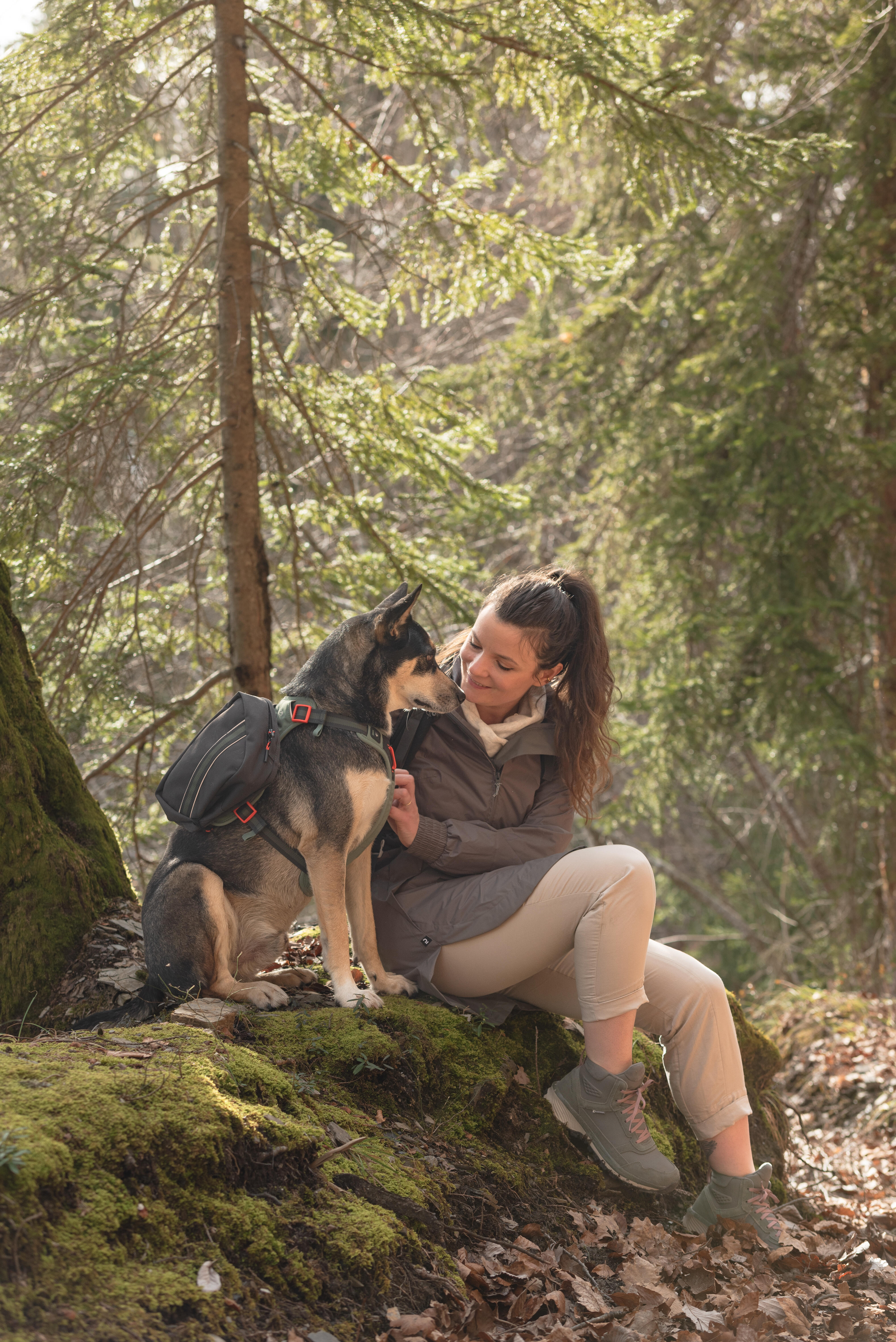 Harnais de randonnée pour chien - CAPERLAN