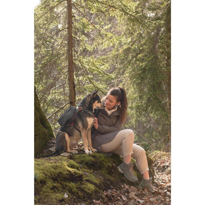 Harnais de randonnée pour chien