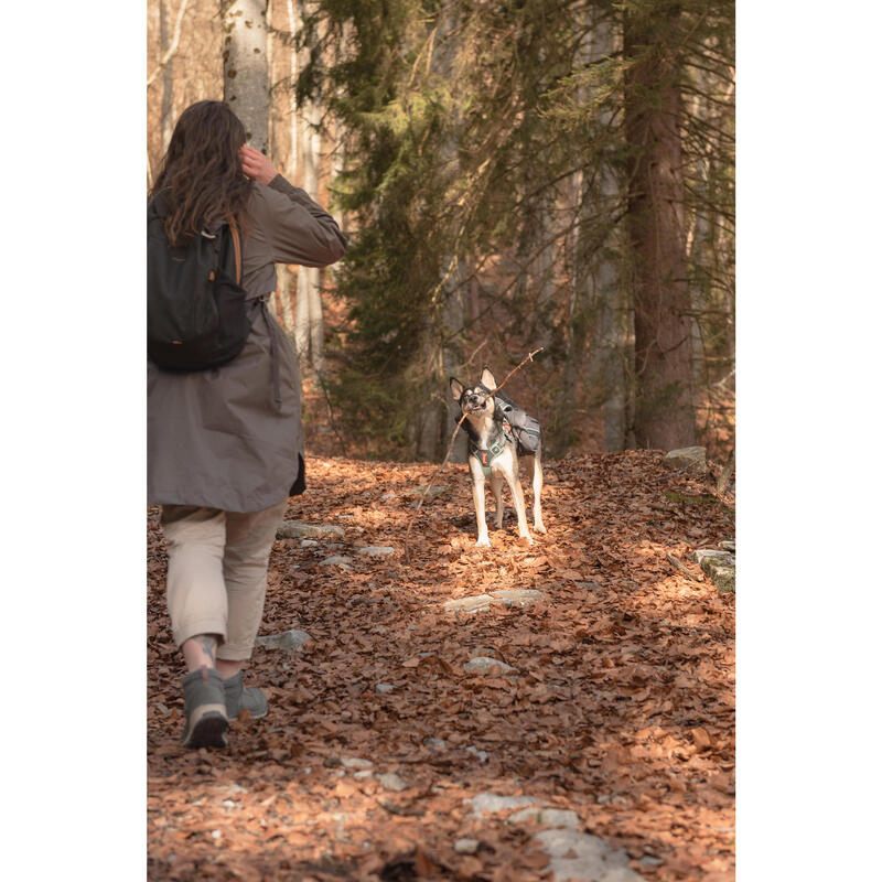 Harnais de randonnée pour chien