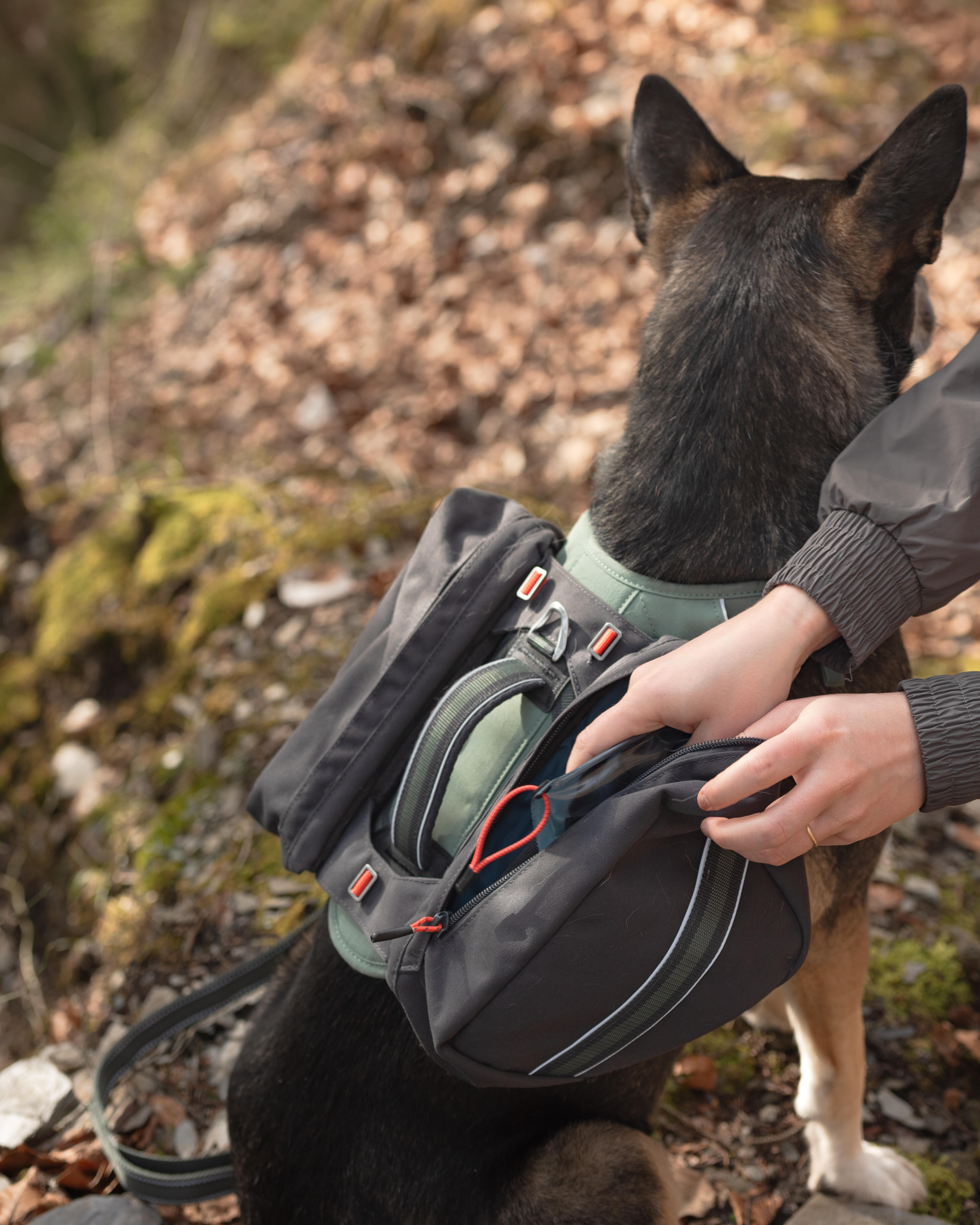 De Transport Sac A Dos Pour Chien Decathlon Harnais Sac A Dos