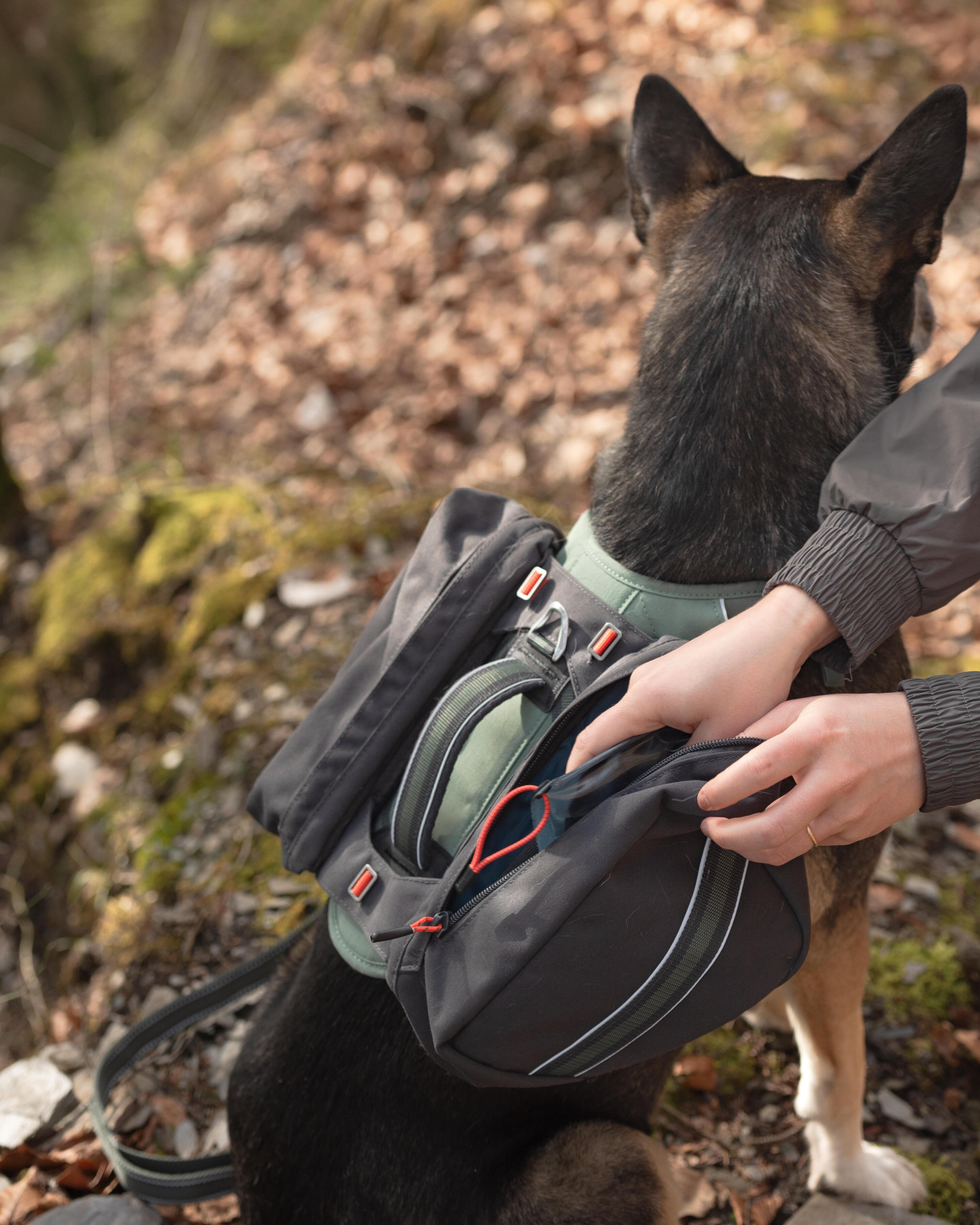 Harnais de randonnée pour chien 23/25