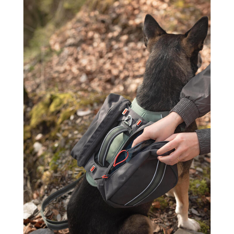 Harnais de randonnée pour chien