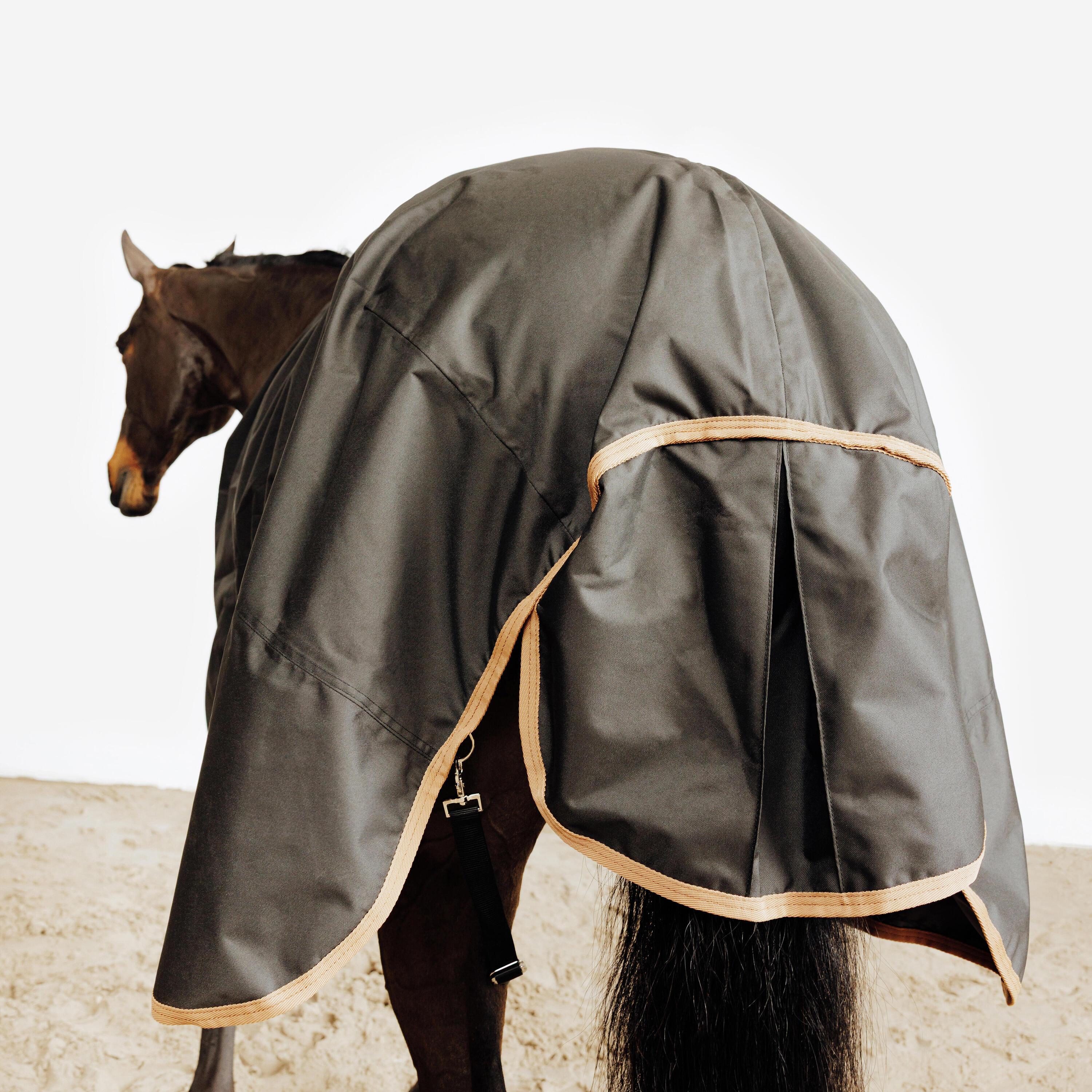 Wasserdichte Outdoordecke für Pferd und Pony – Allweather 0 g, schwarz und braun 7/7