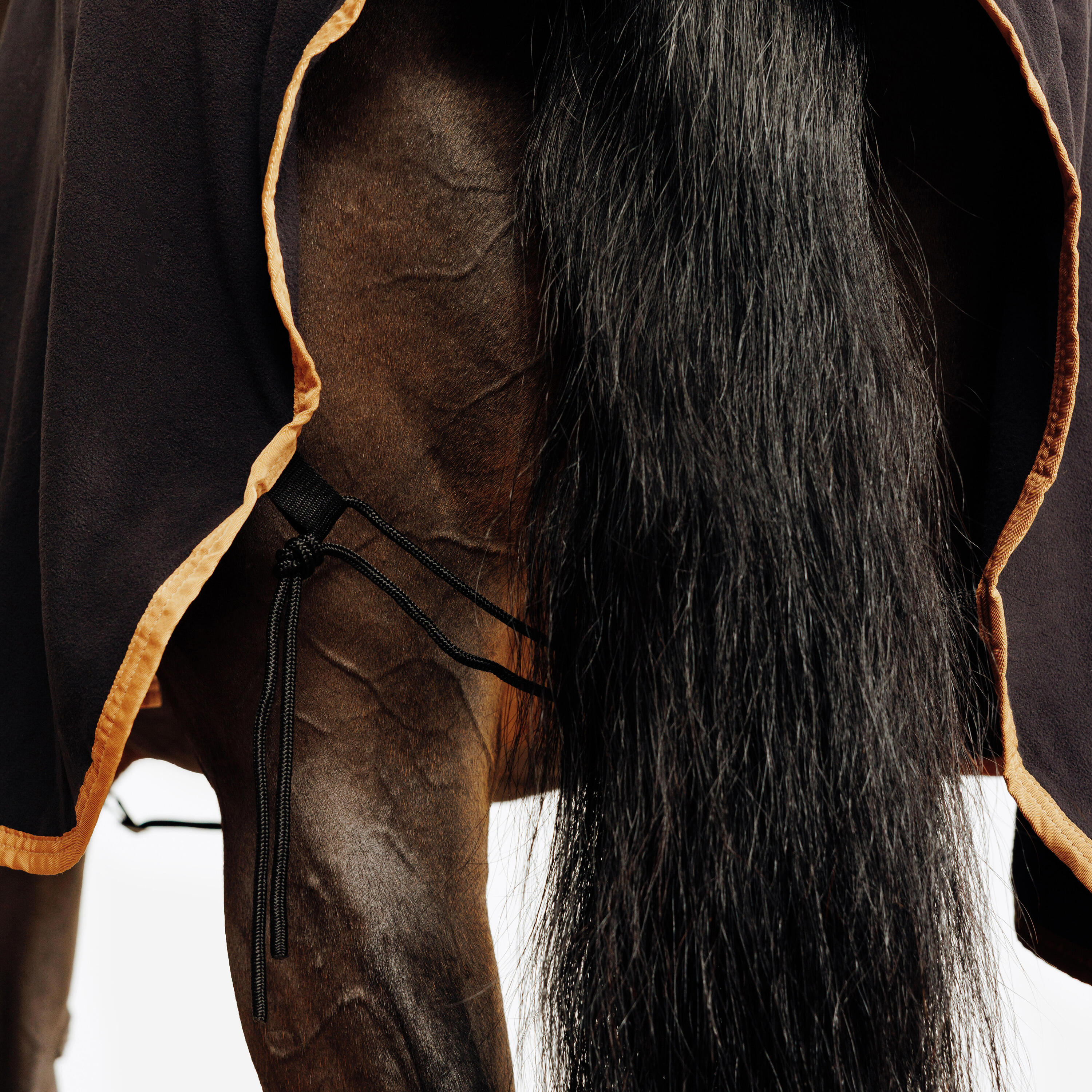 Basic Fleece-Präsentationsdecke – Reiten, Pferd und Pony – Schwarz 7/7