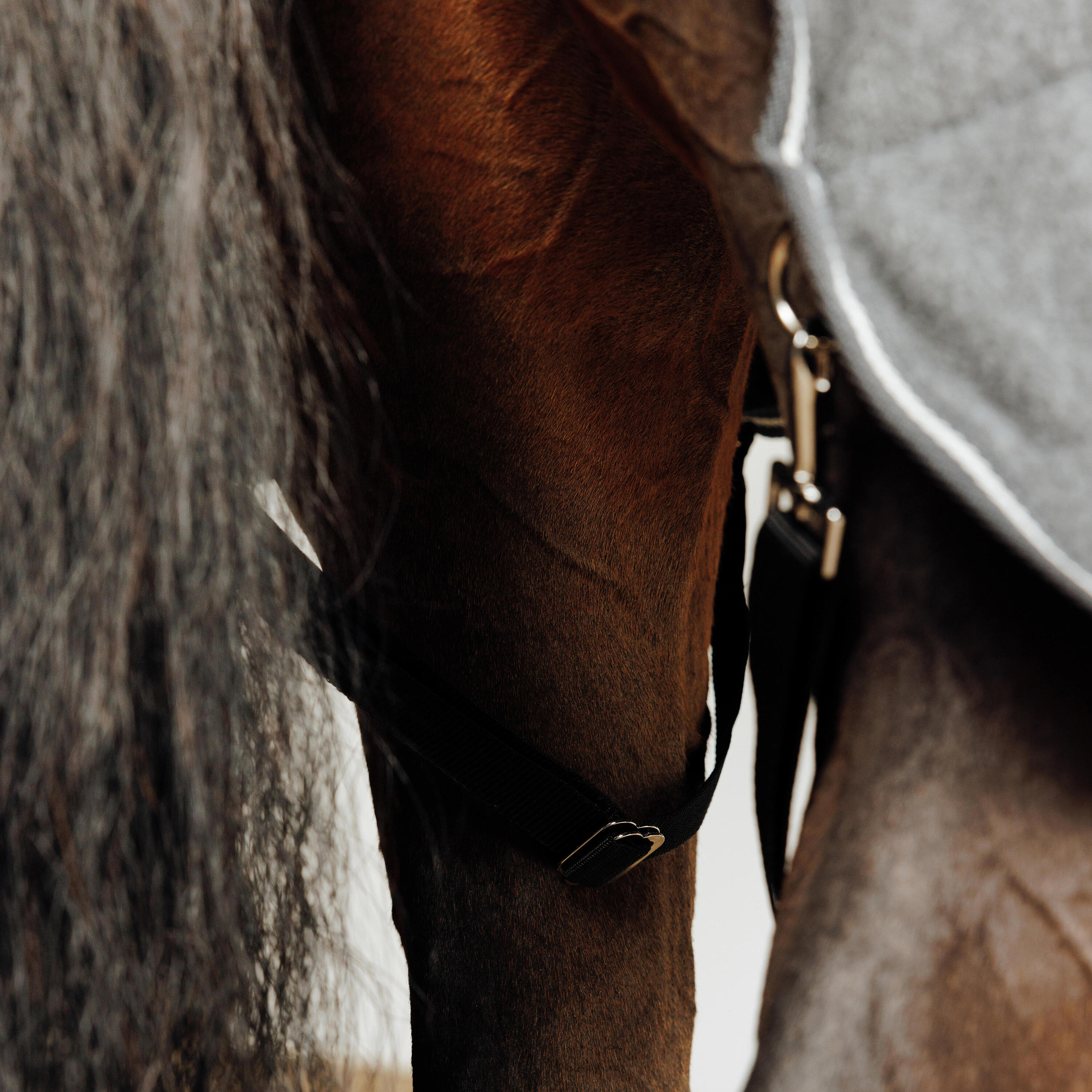 Warme Fleece-Decke Confort für Pferd und Pony – Grau 8/9