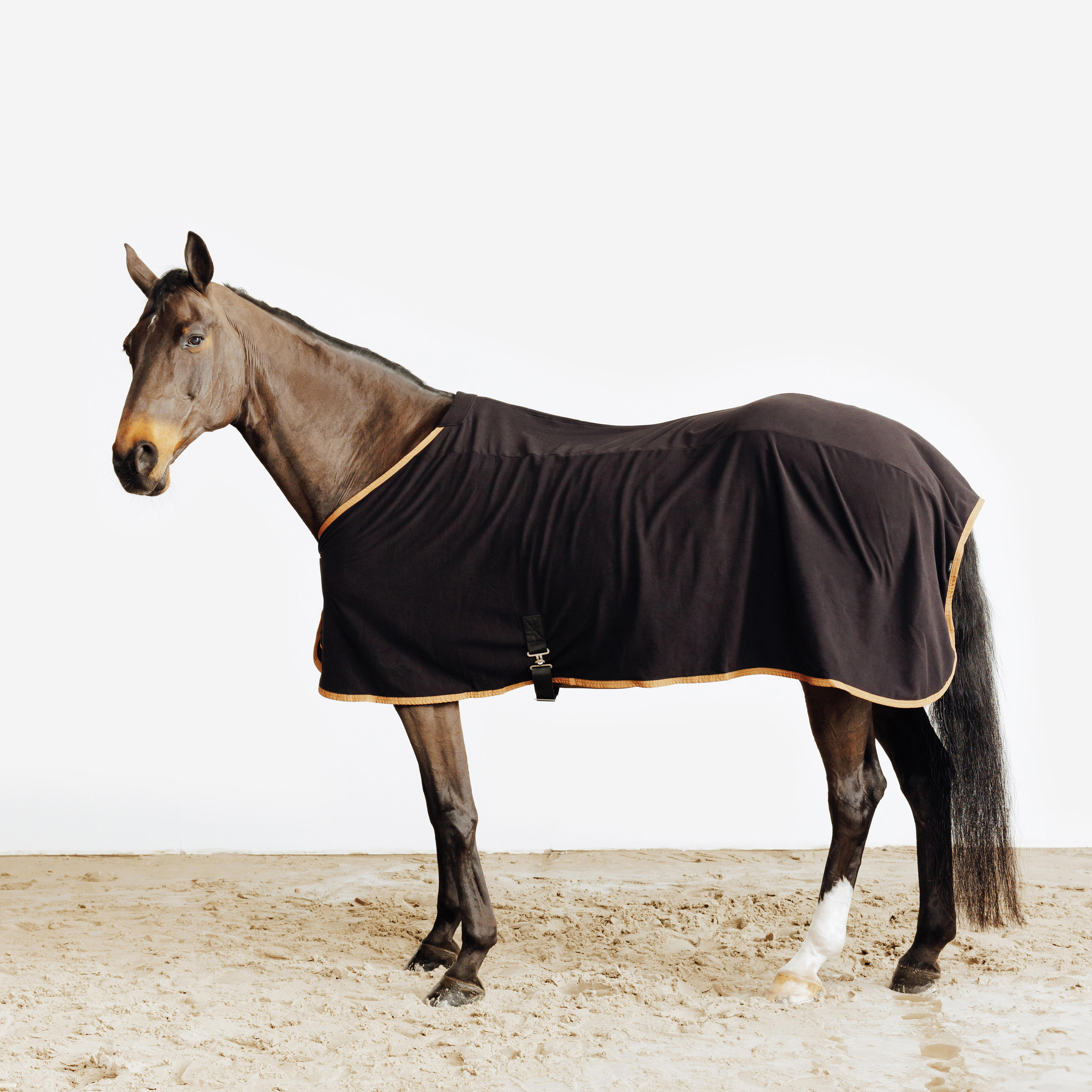 FOUGANZA Fleecedecke Basic Pferd/Pony schwarz | 03608391122126 FOUGANZA Fleecedecke Basic Pferd/Pony schwarz | 03608391122126