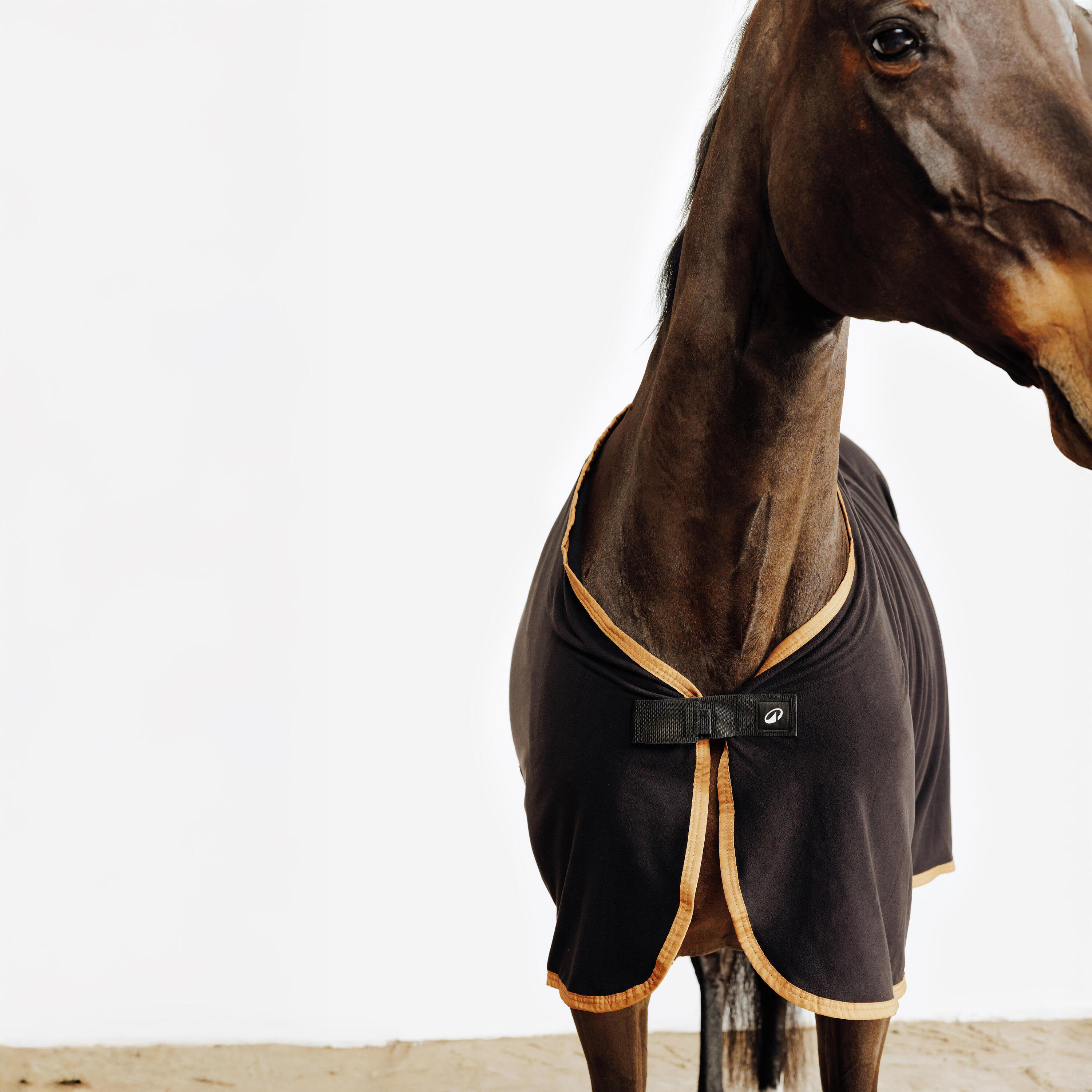 Basic Fleece-Präsentationsdecke – Reiten, Pferd und Pony – Schwarz 4/7