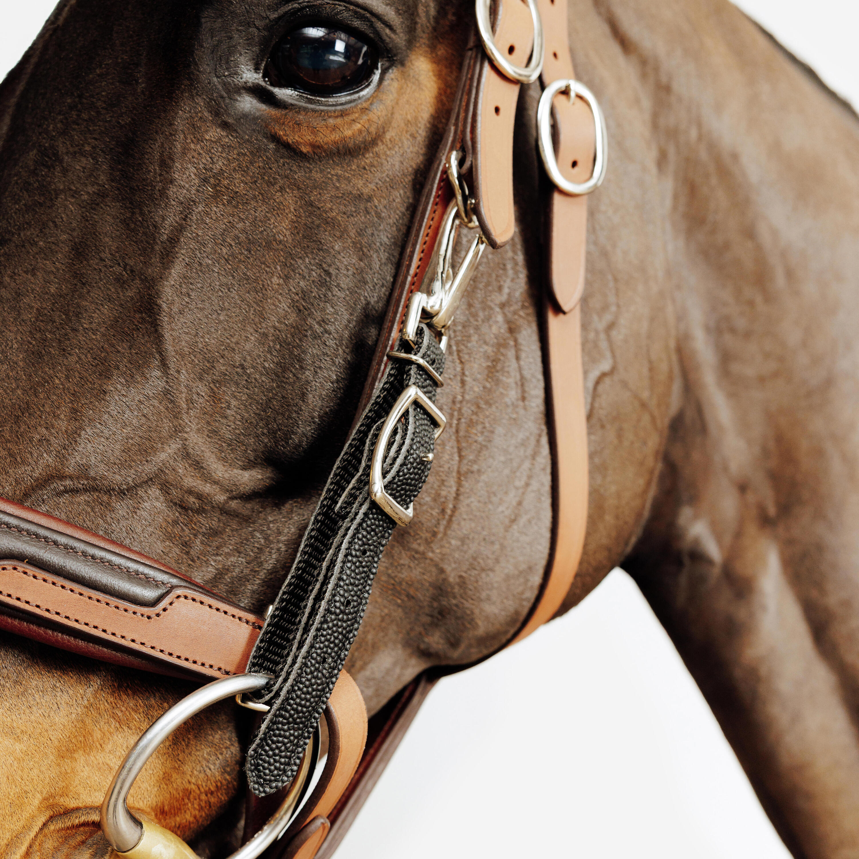 Trense/Halfter Escape Wanderreiten  4/9